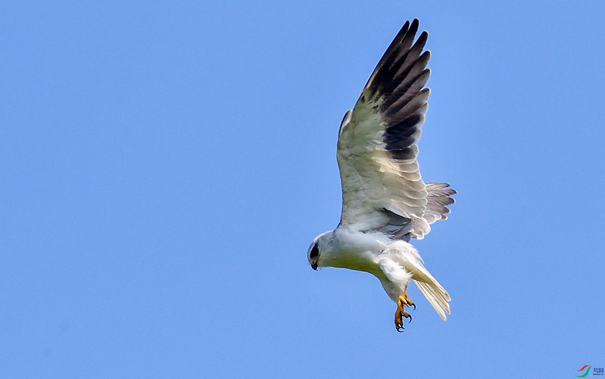 DSC_3876.jpg