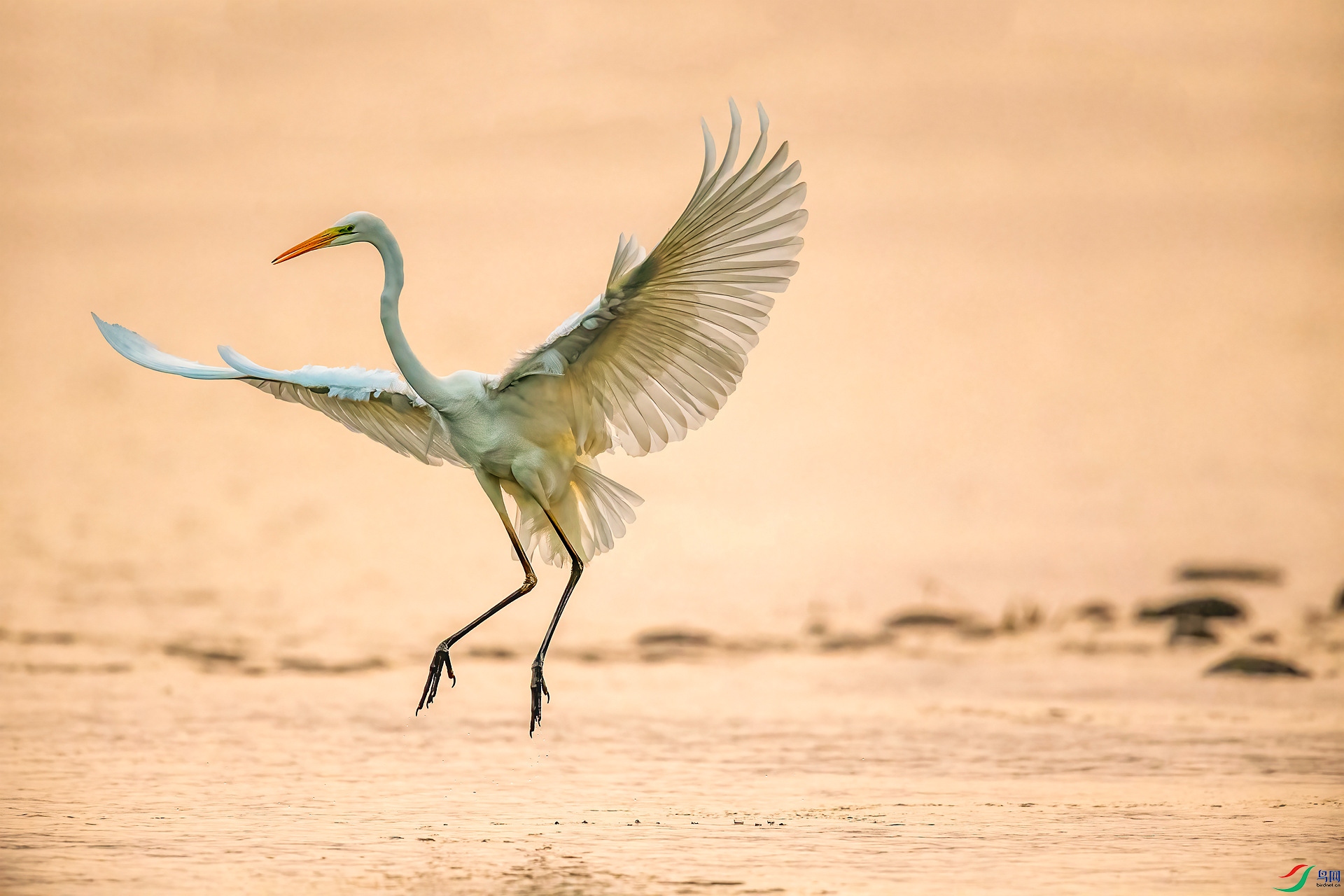 DSC_1391 ����_����.jpg