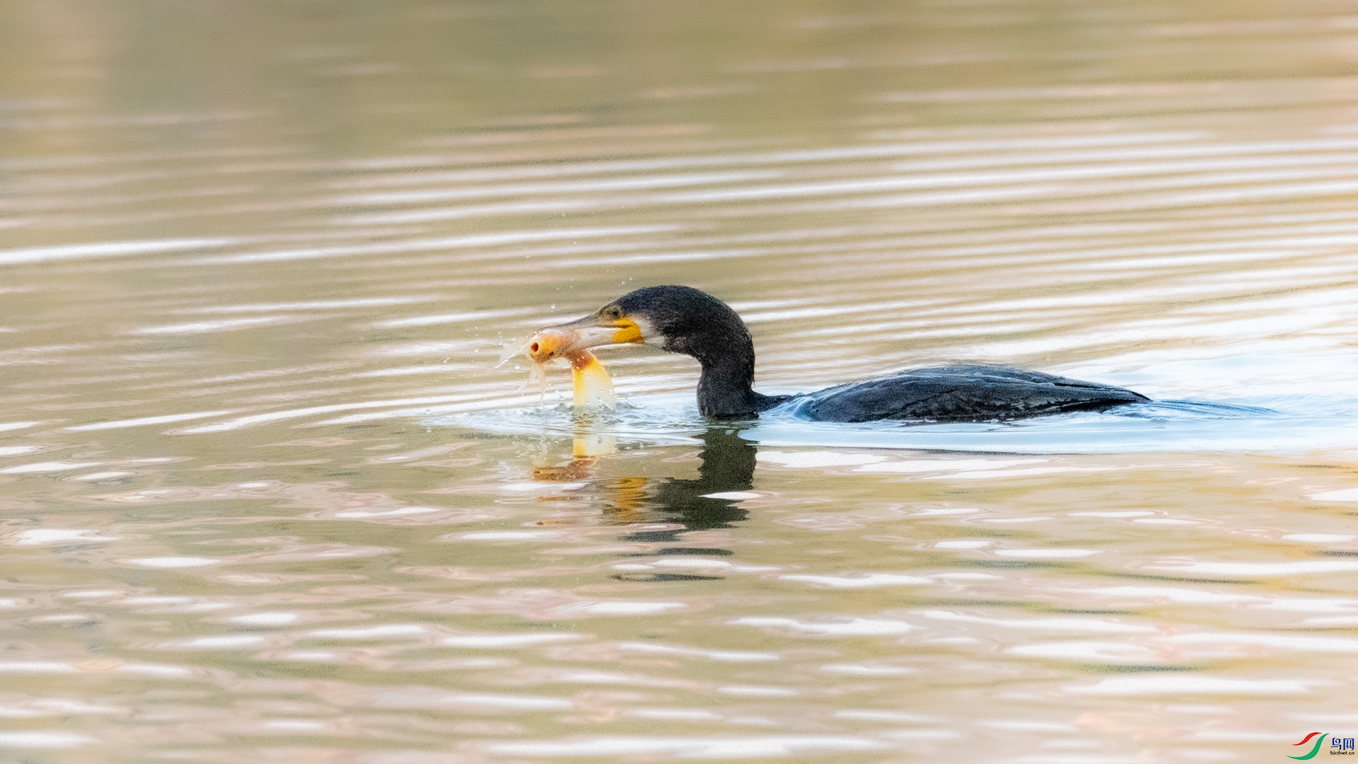 DSC_7627.jpg