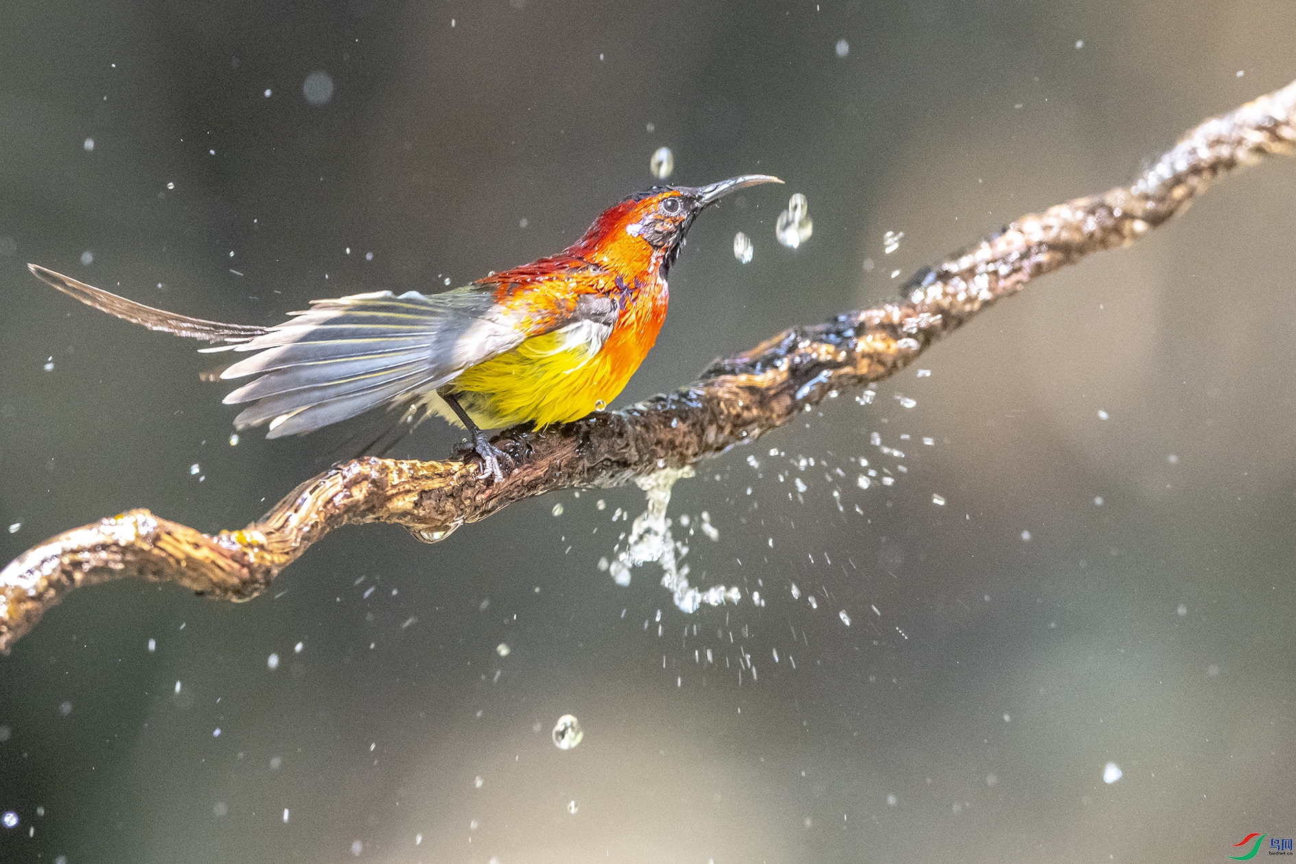 2541 ����.jpg