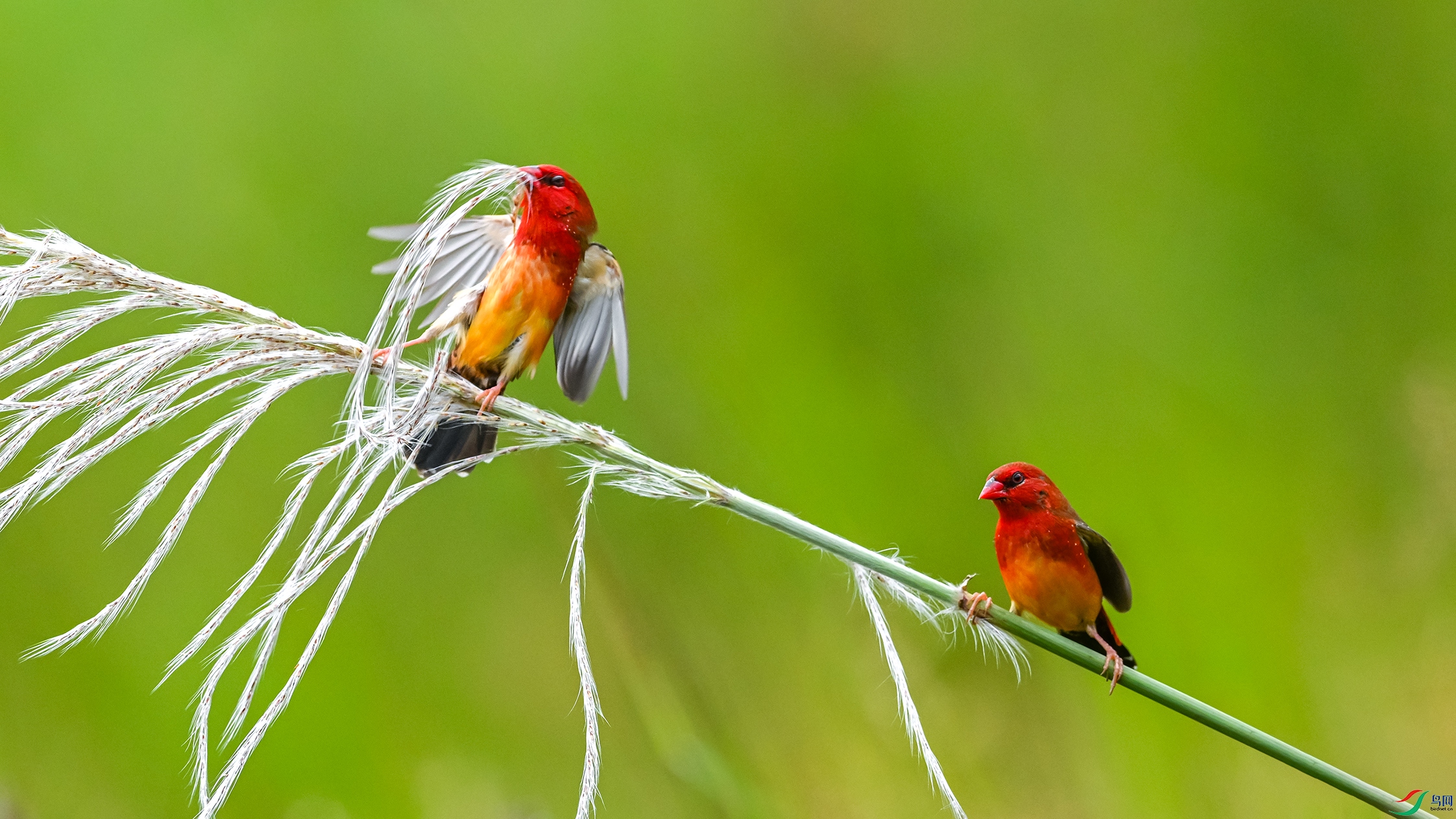 1461 ����.jpg