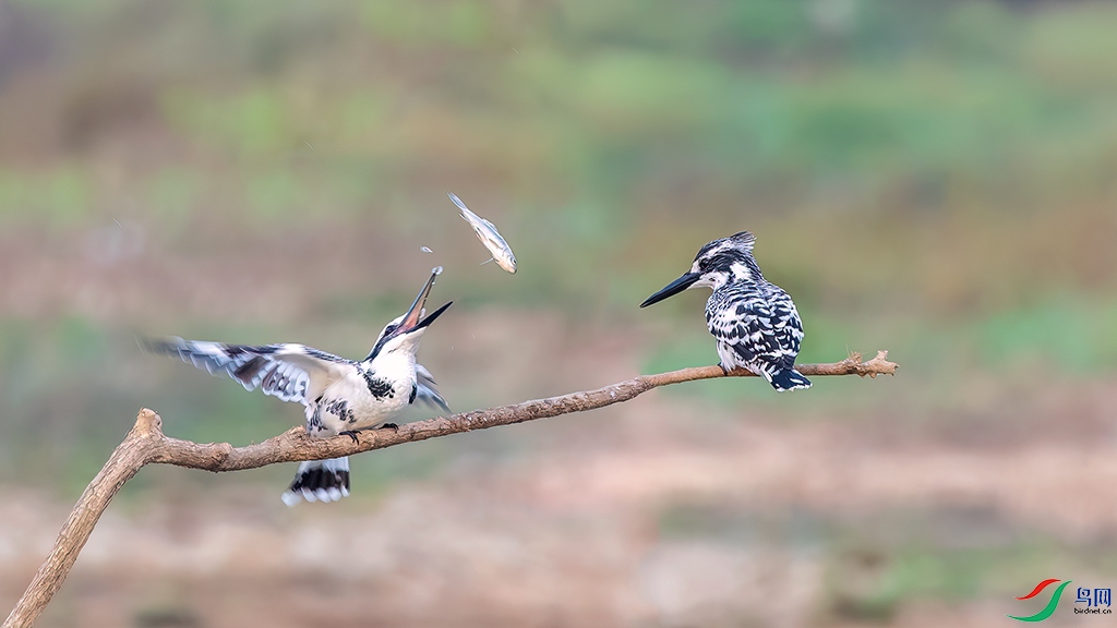 hnxydzR231101 (620)_DxO.jpg