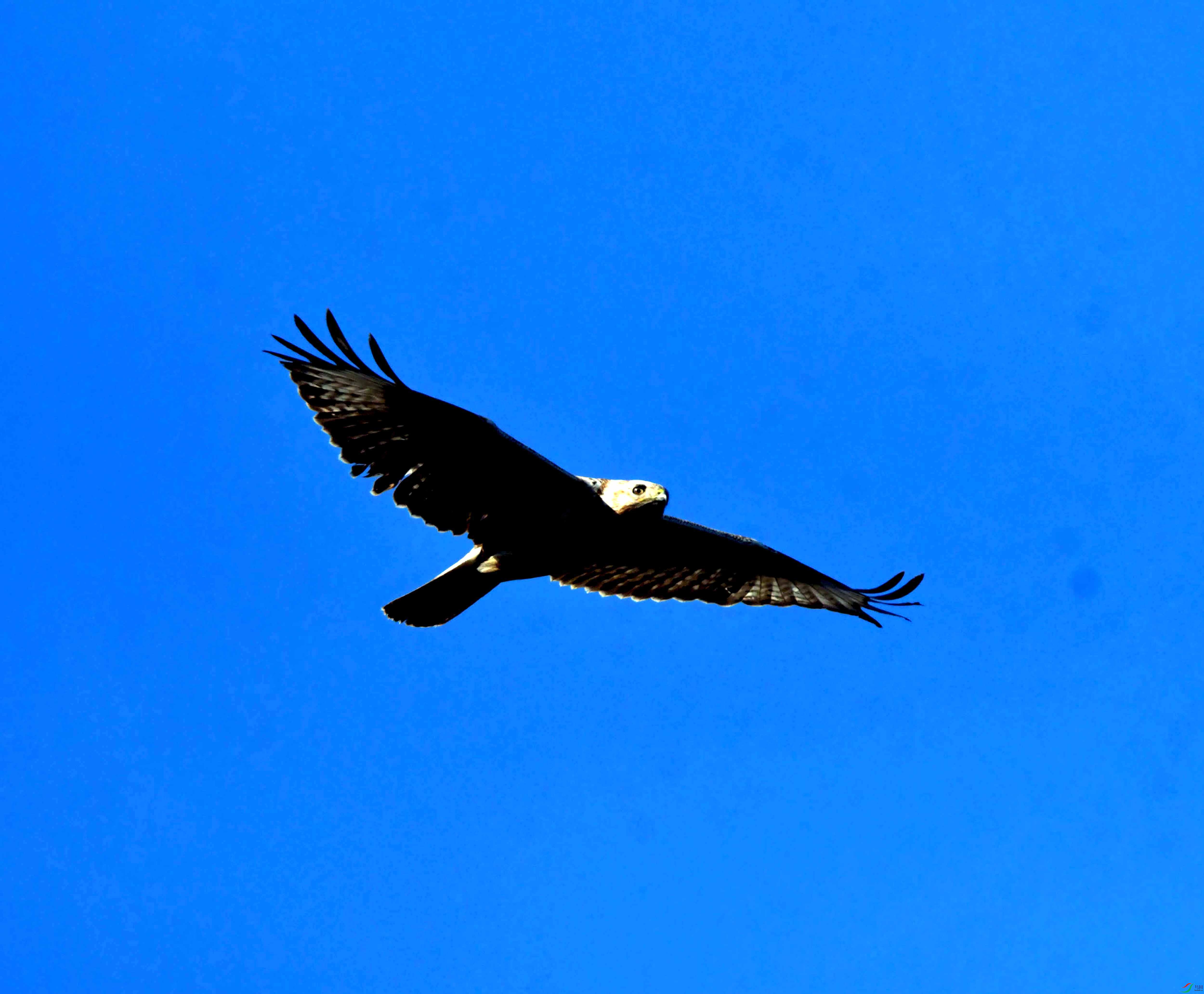 DSC_2537.JPG