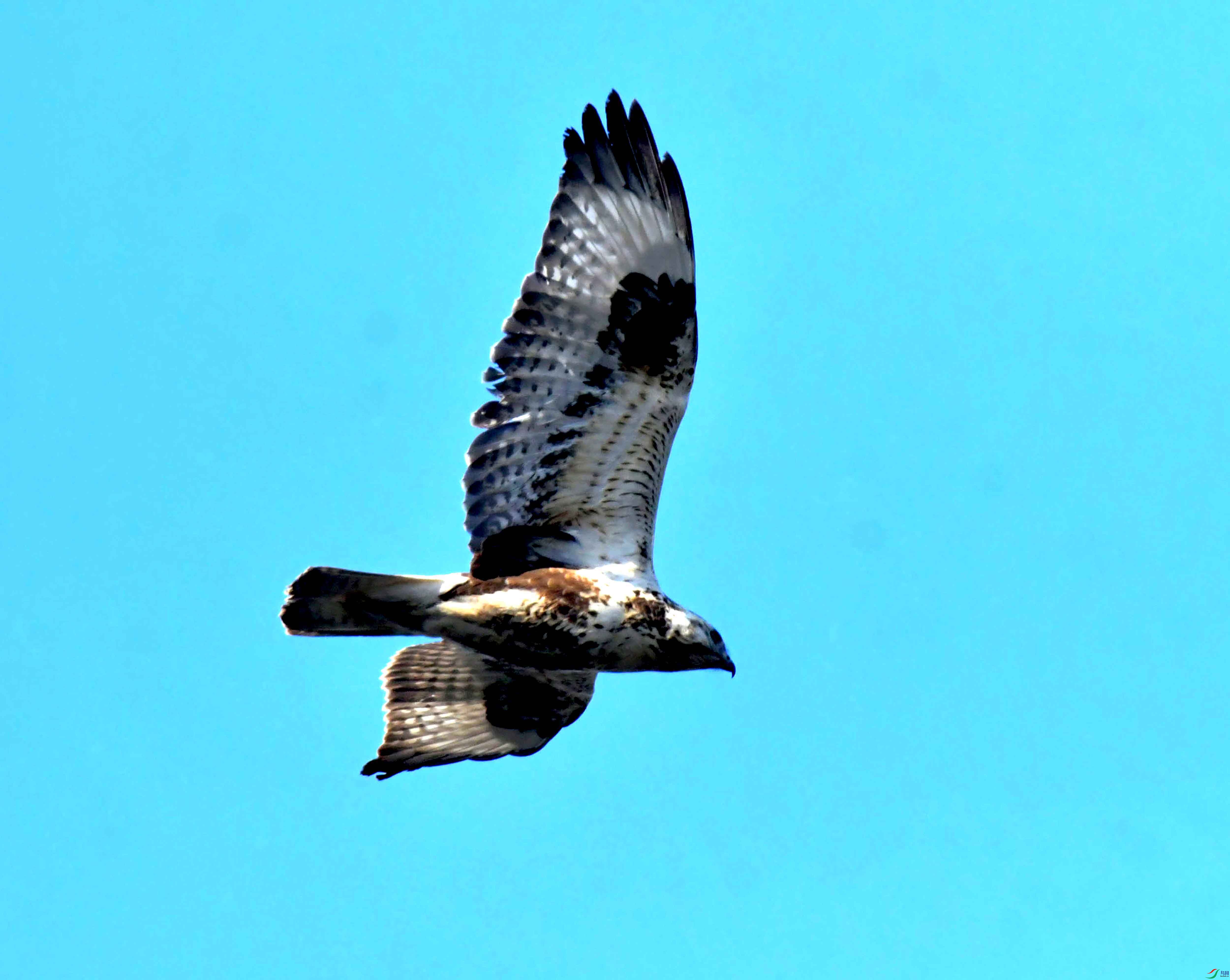 DSC_2540.JPG