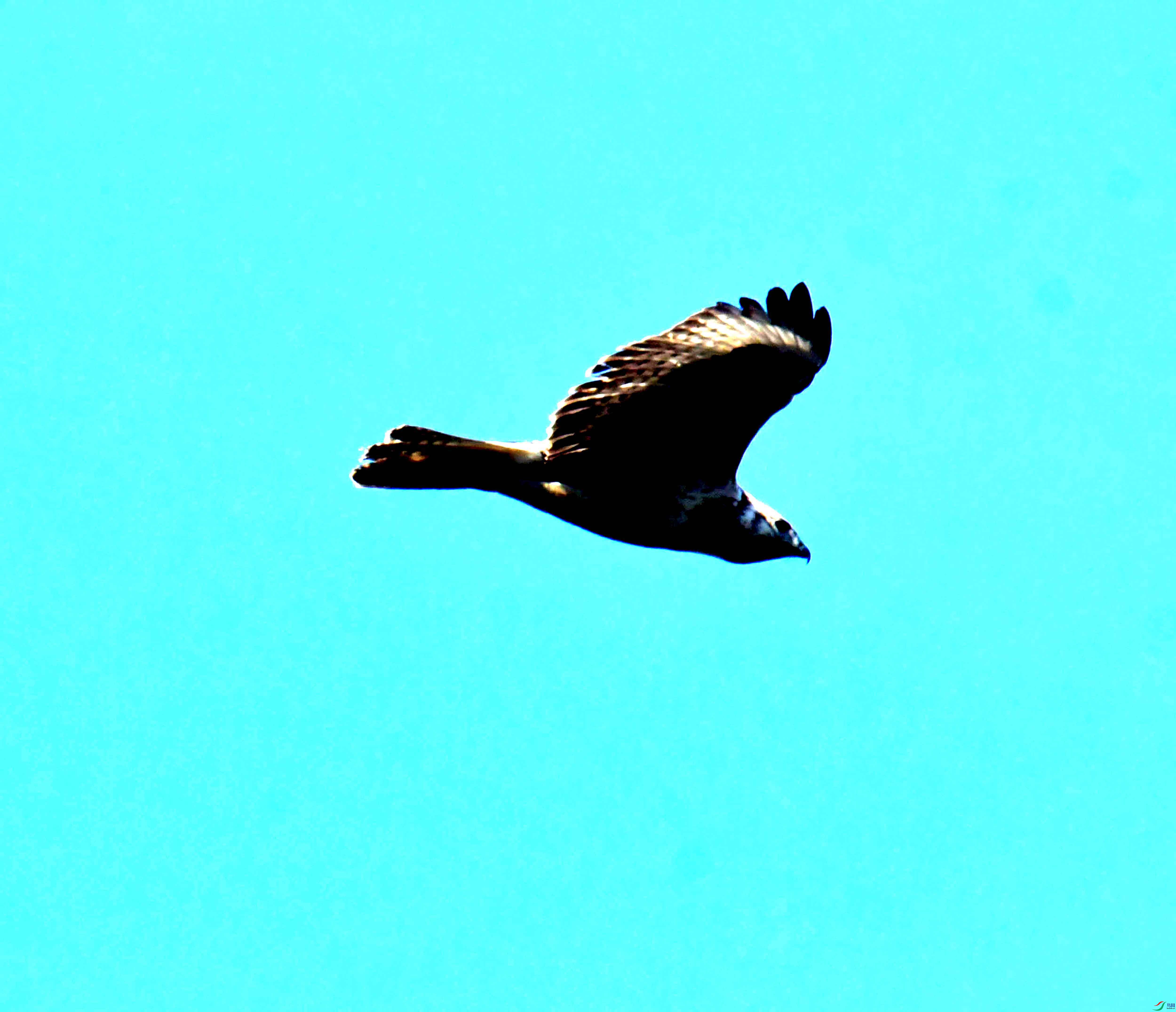 DSC_2542.JPG