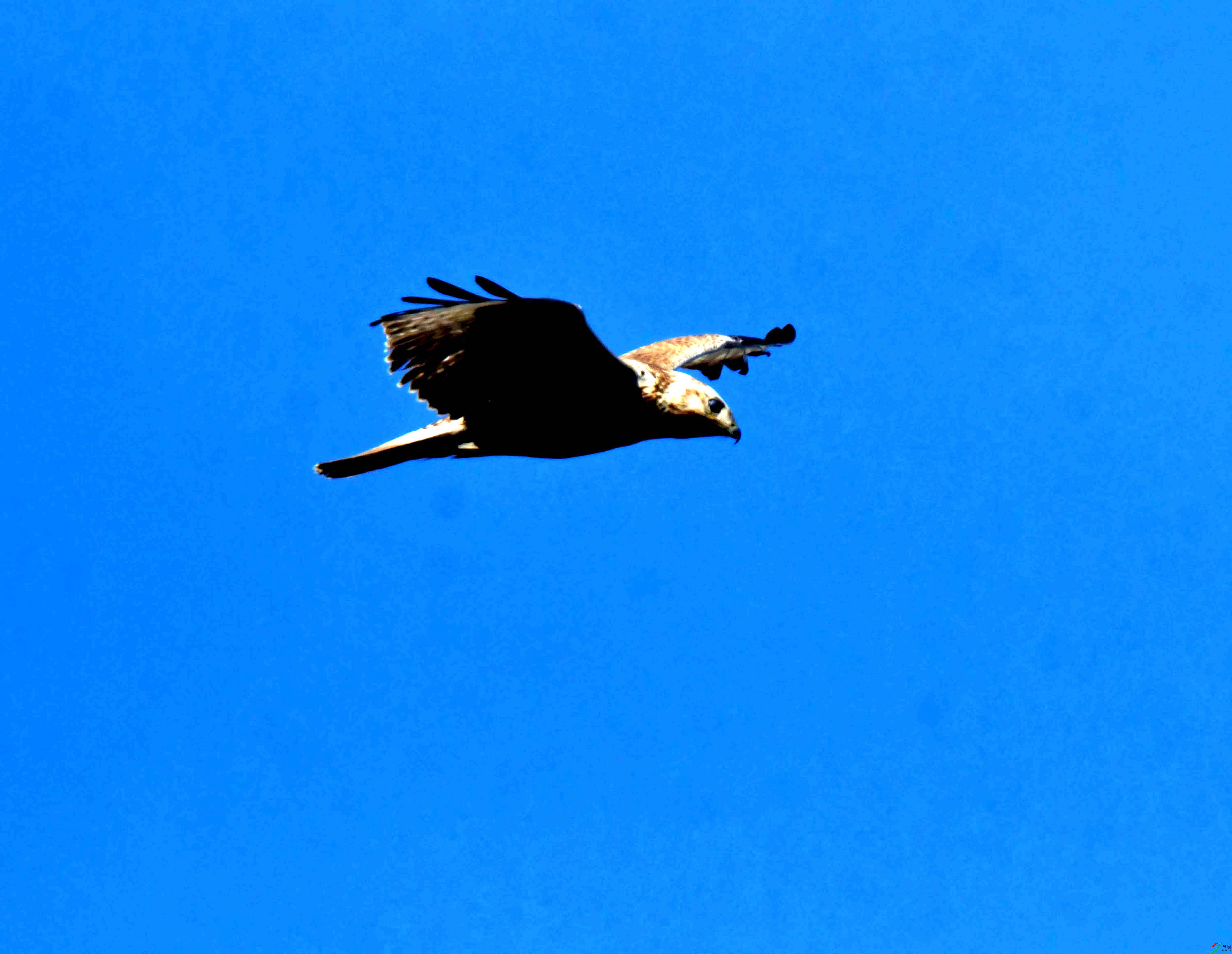 DSC_2545.JPG
