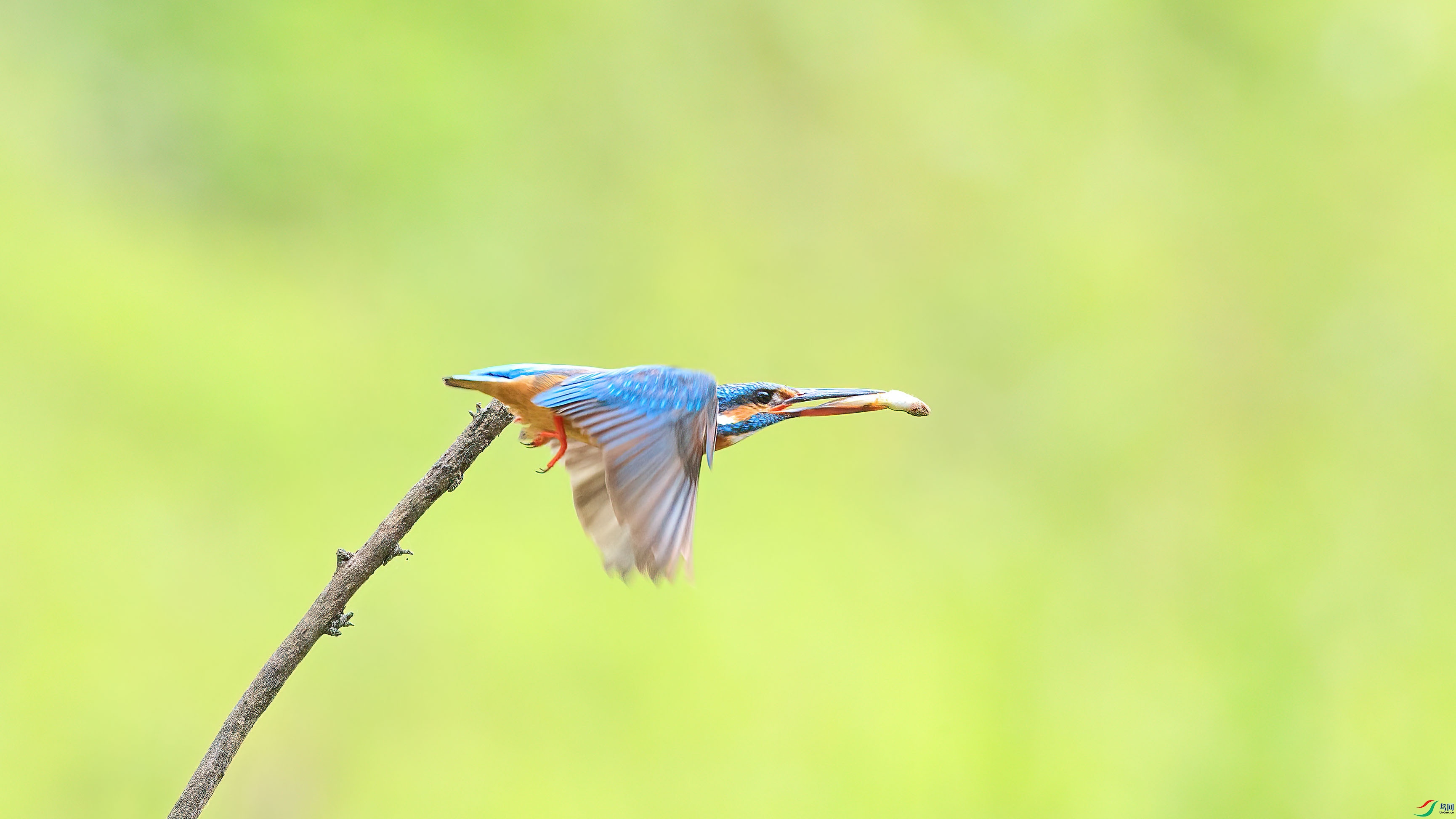 1DX_9776 ����.jpg