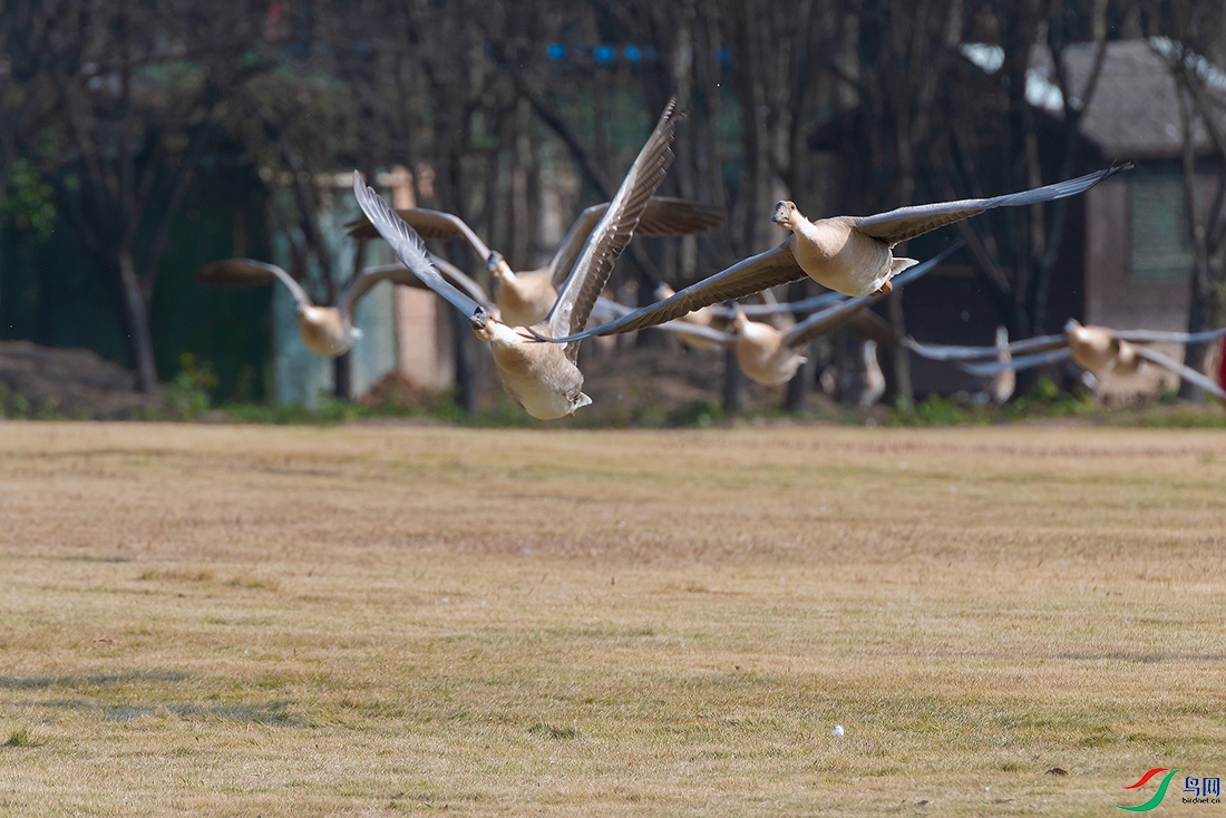 1DSC_8398_DxOa.jpg
