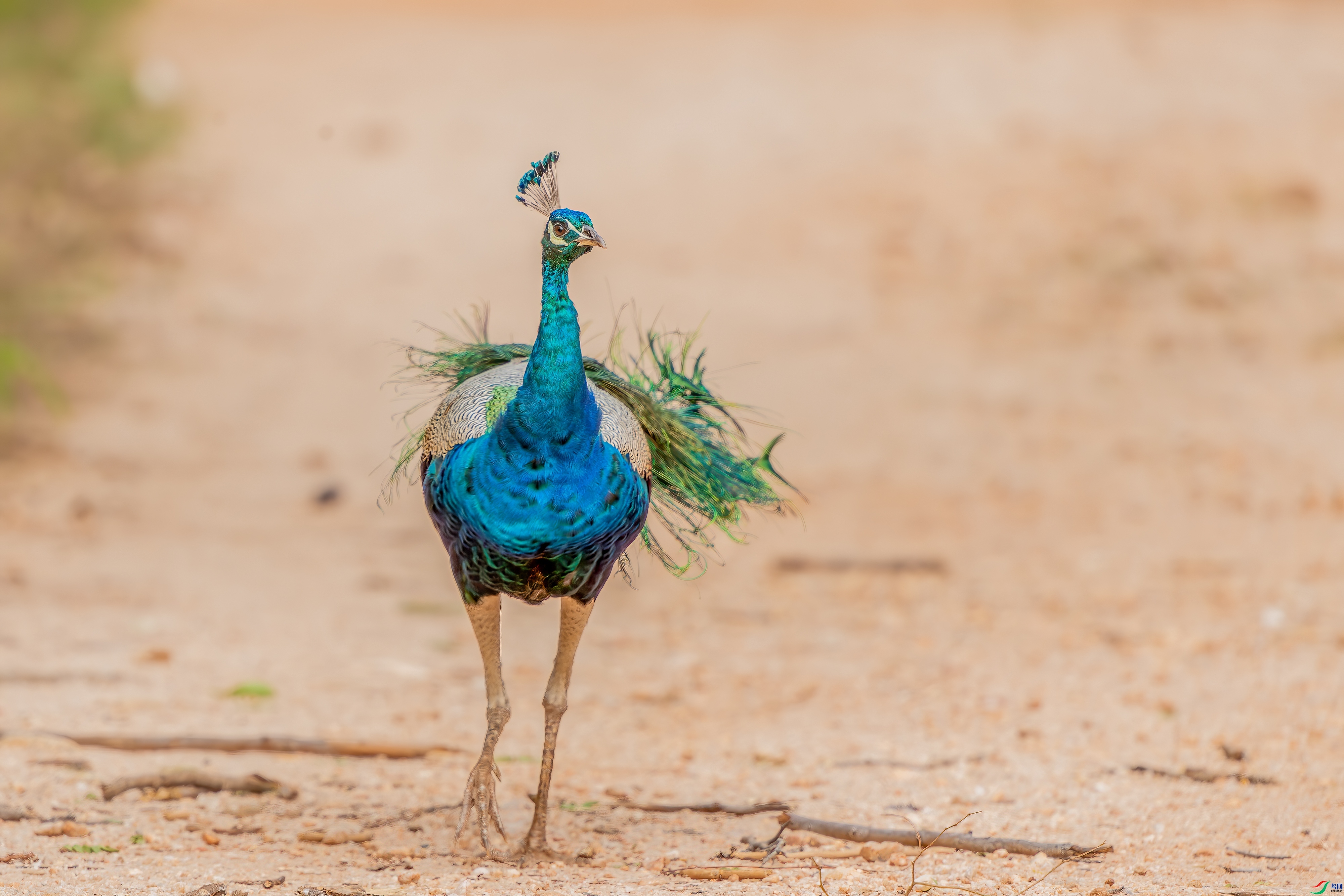 ����ȸ ���� ���� ��һ.jpg