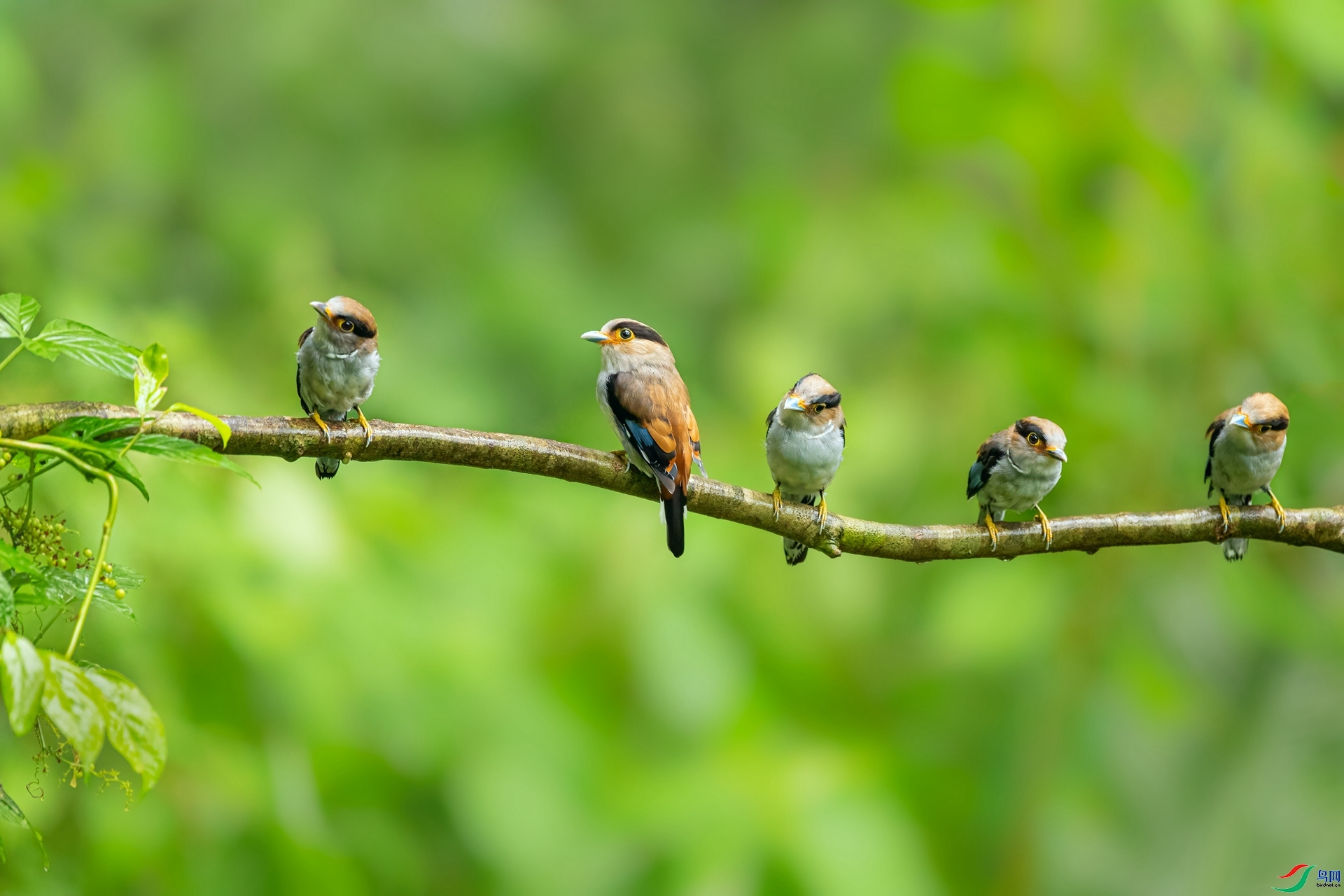 ��̬���� ���� �ܶ�.jpg