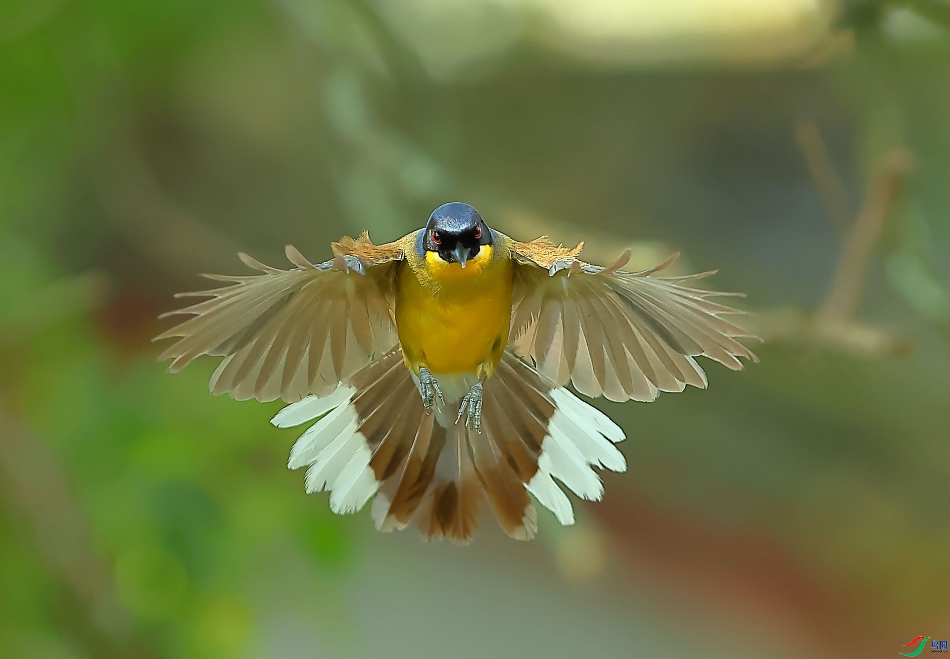 ӭ������ĵ������  ���� 8341  �ܶ�.jpg