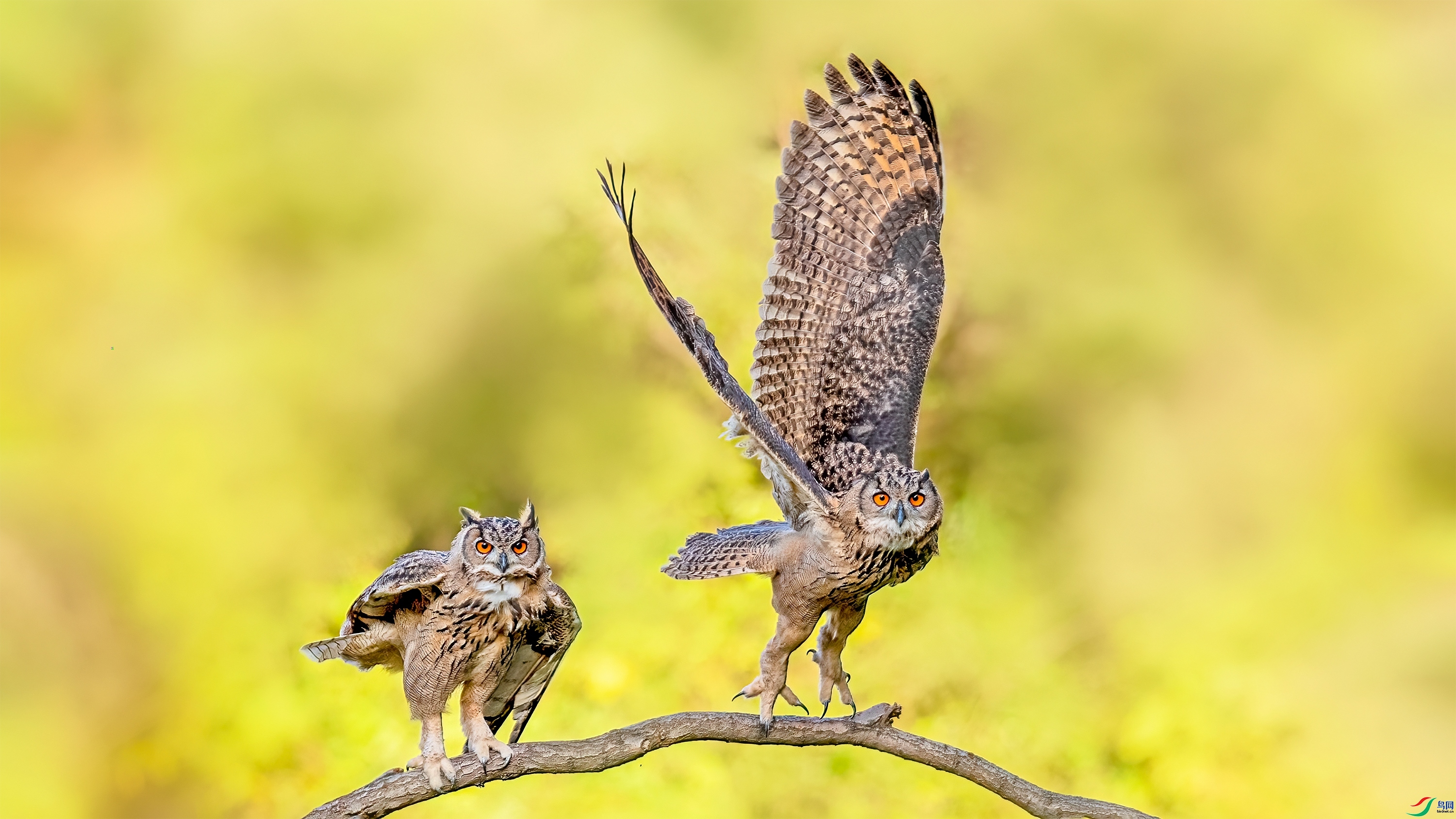 ���^ ���� �ܶ�.jpg