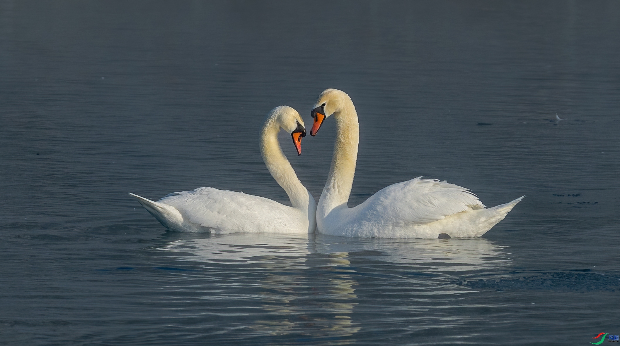 ����  ���� �䱾����  �ܶ�.jpg