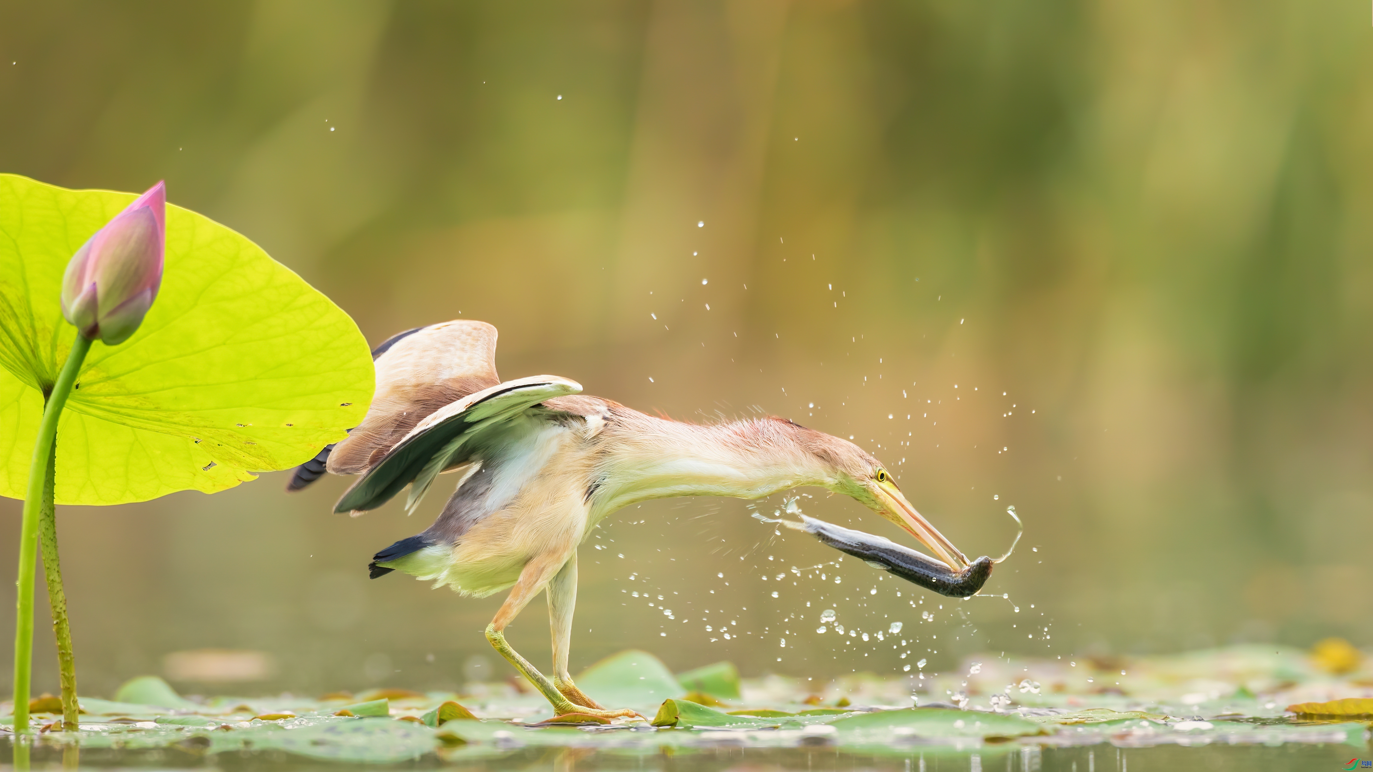 ˣ��  ���� �Ű� ����.jpg