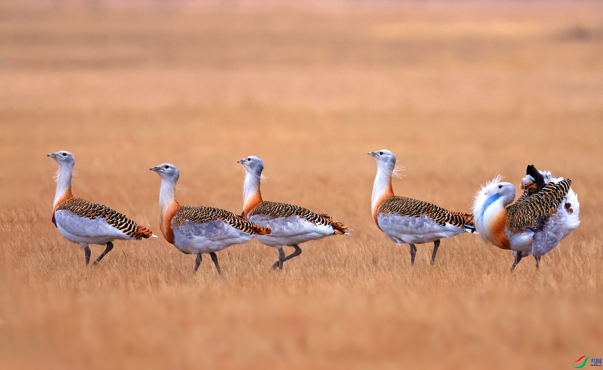 �벽�� ���� ������  ����.jpg