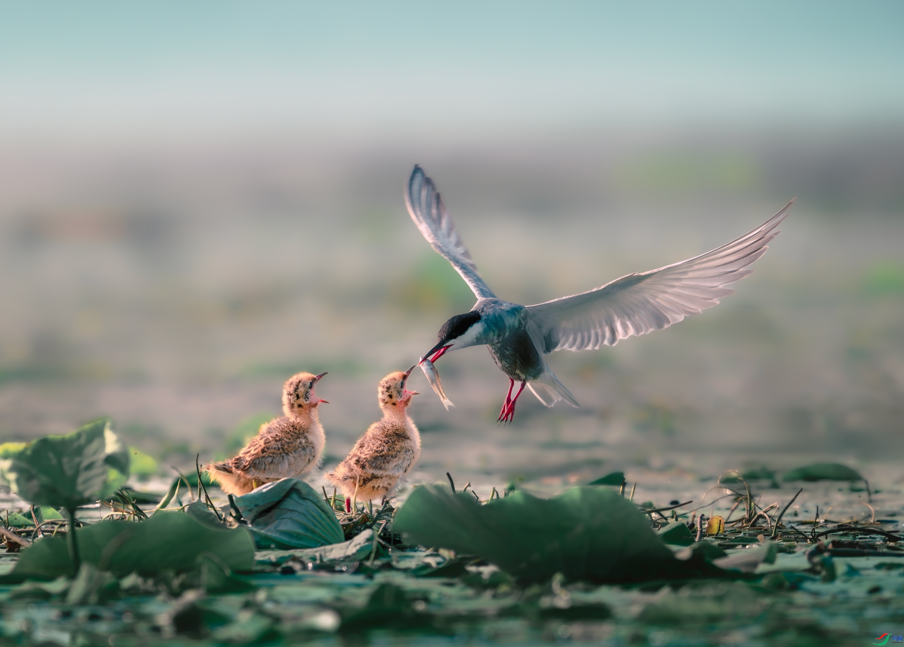 ι��  ���� ��Ϳ�ֺ�Ϳ  ����.jpg