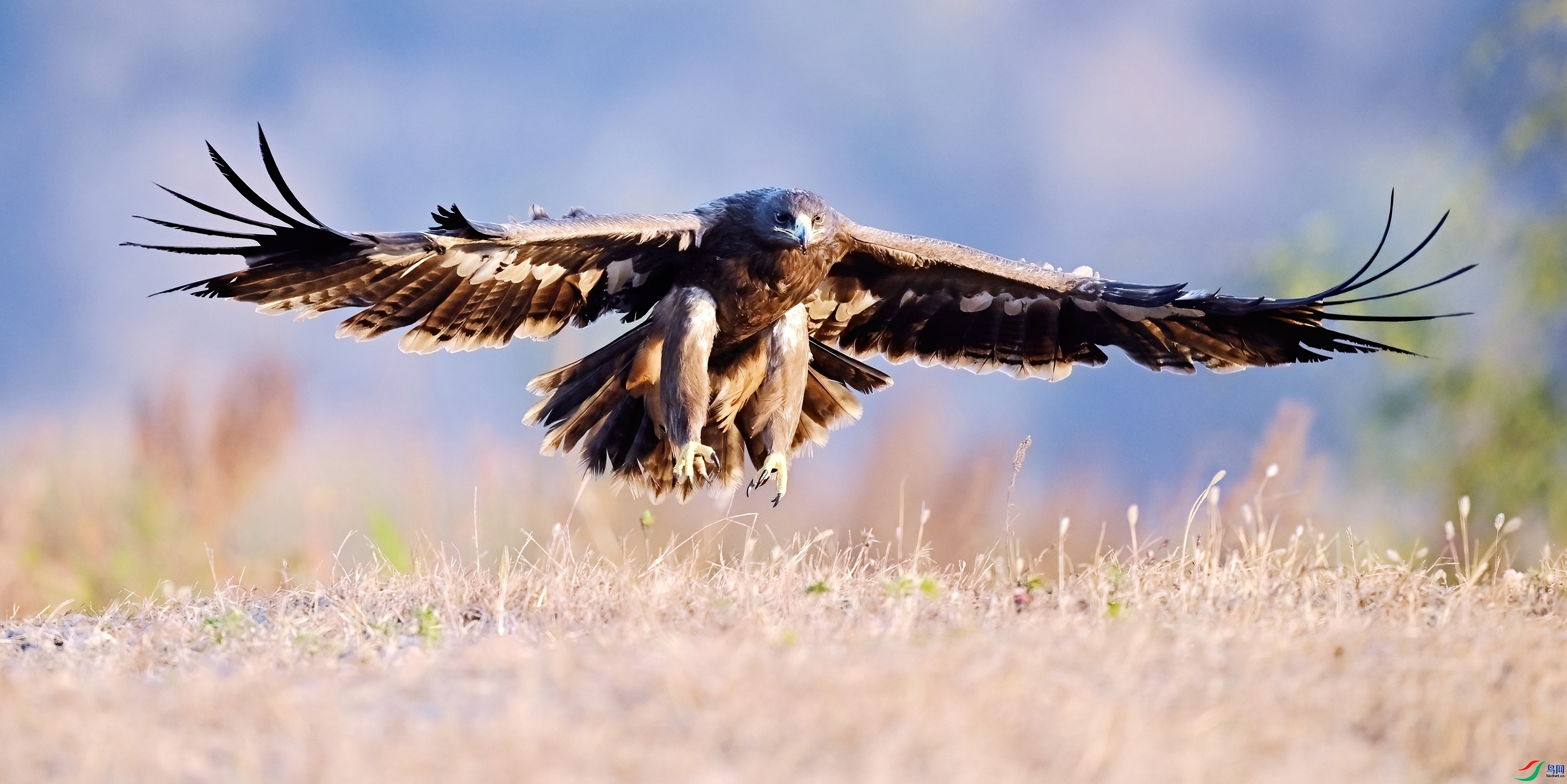 ���  ���� ����  ����.jpg