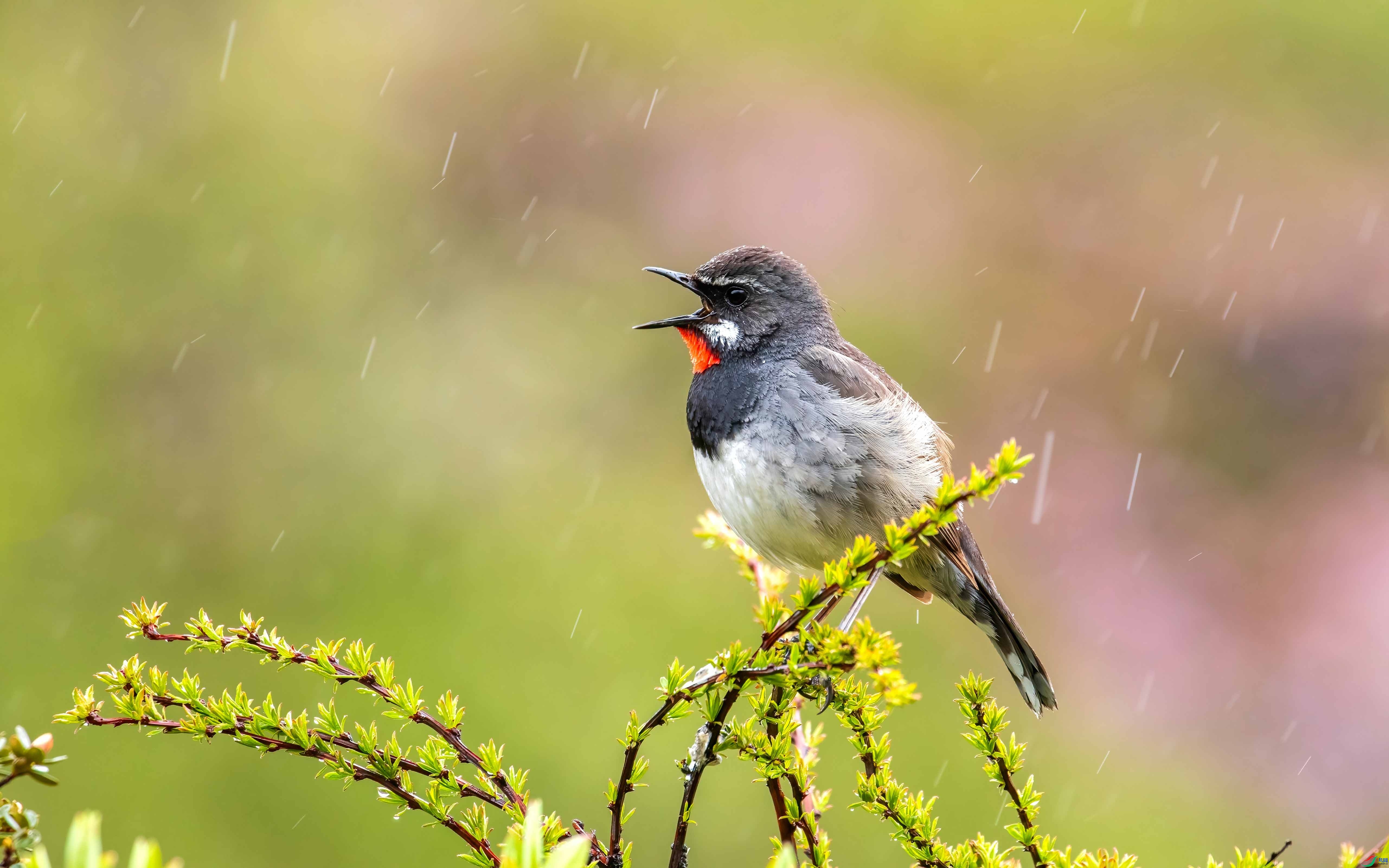 ����С�� ���� �ɶ��Ͻ� ����.jpg