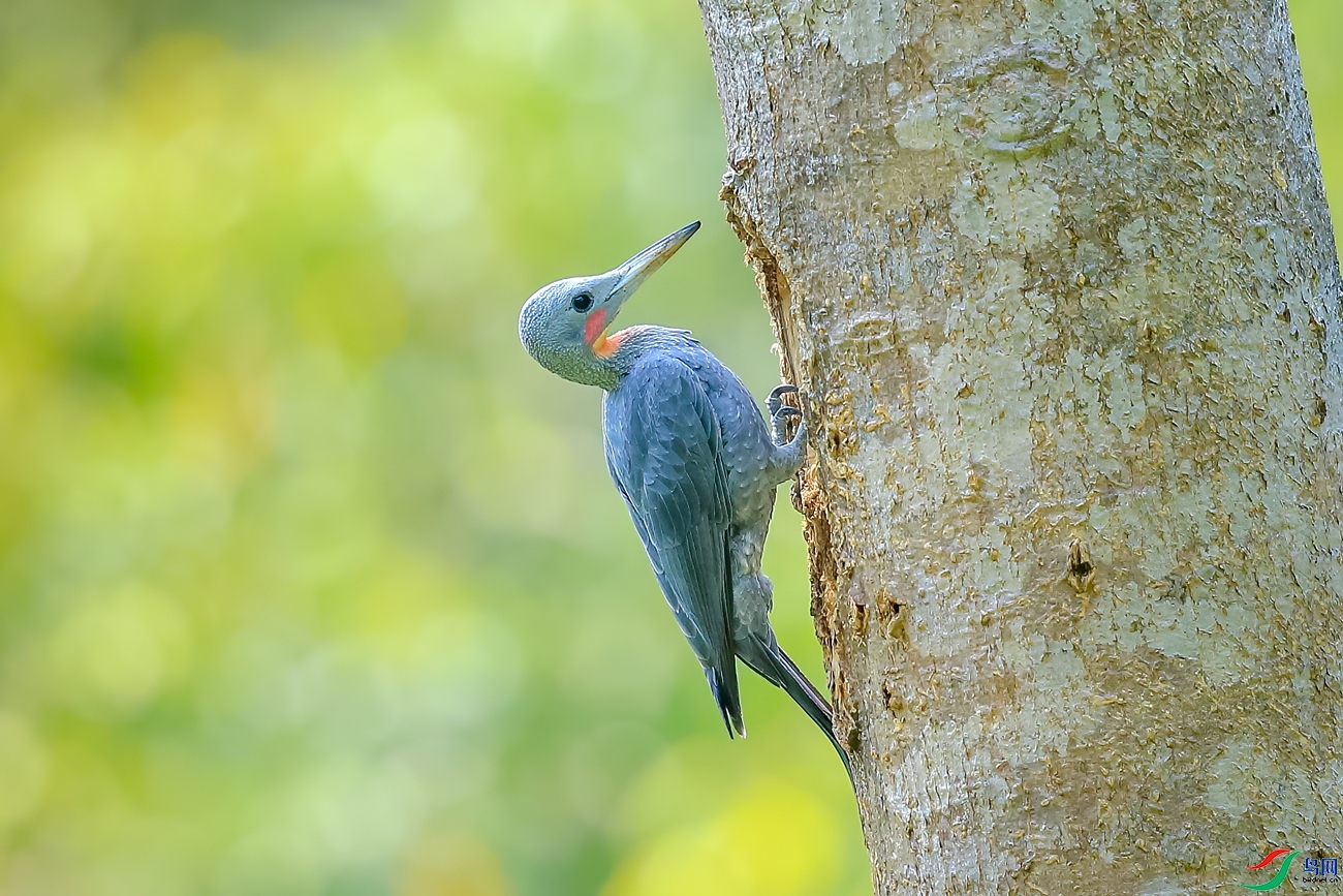 �����ľ��  ���� ��ͥ�Ų� ����.jpg