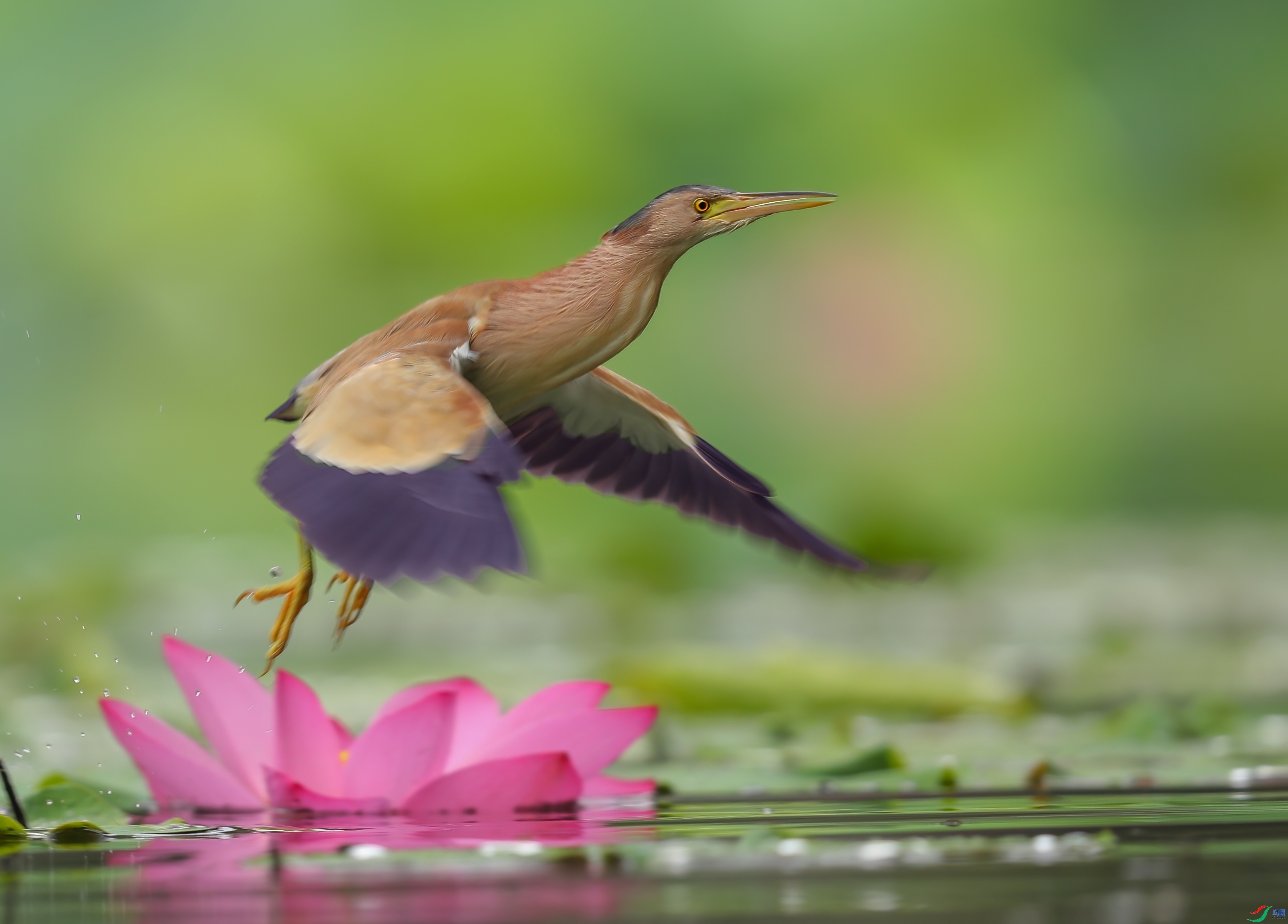 ���  ���� һ·���� ����.jpg