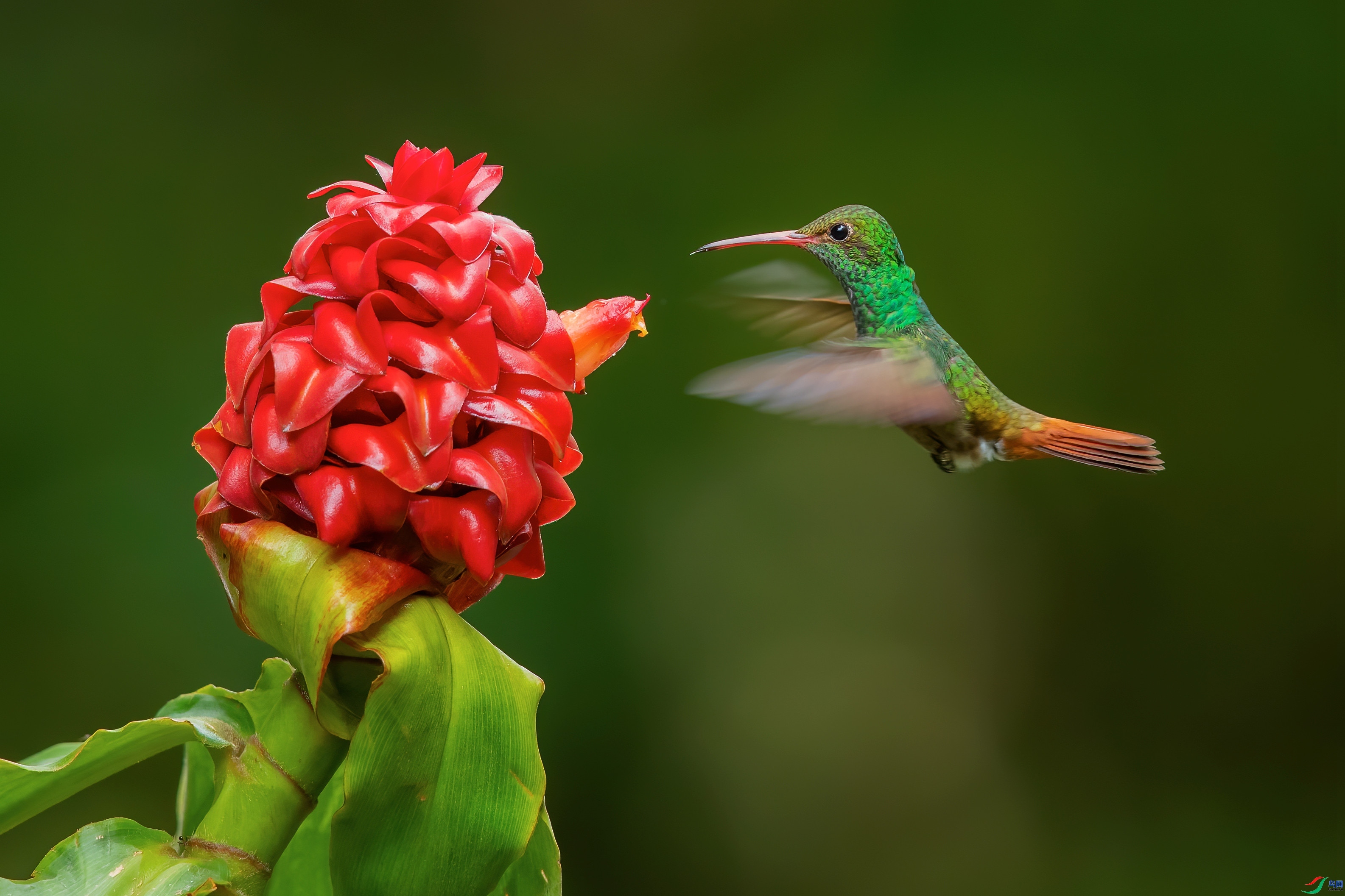 ��β���� ���� ���Ӿ�  ����.jpg