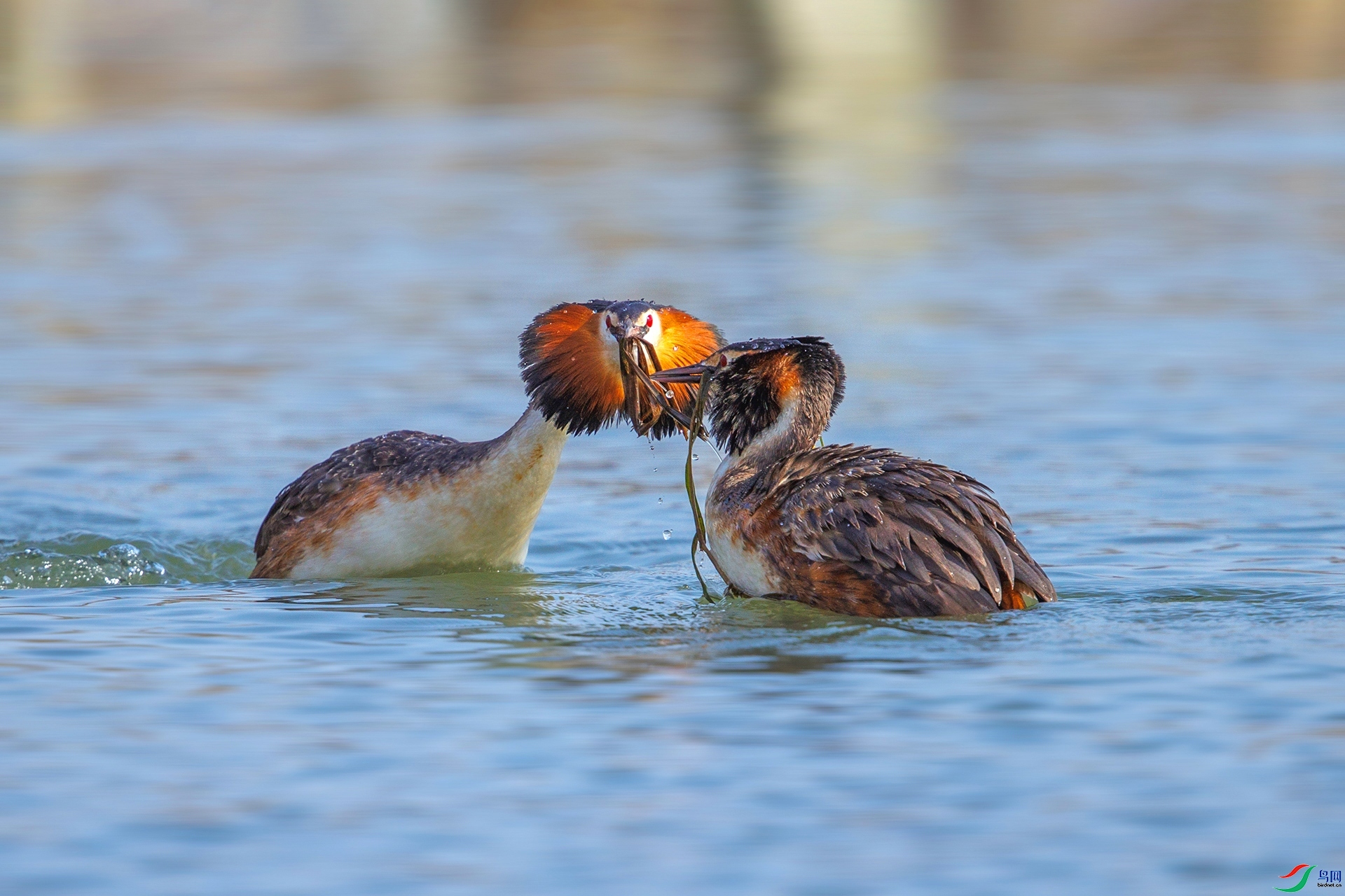 ������Ը ���� ����.jpg