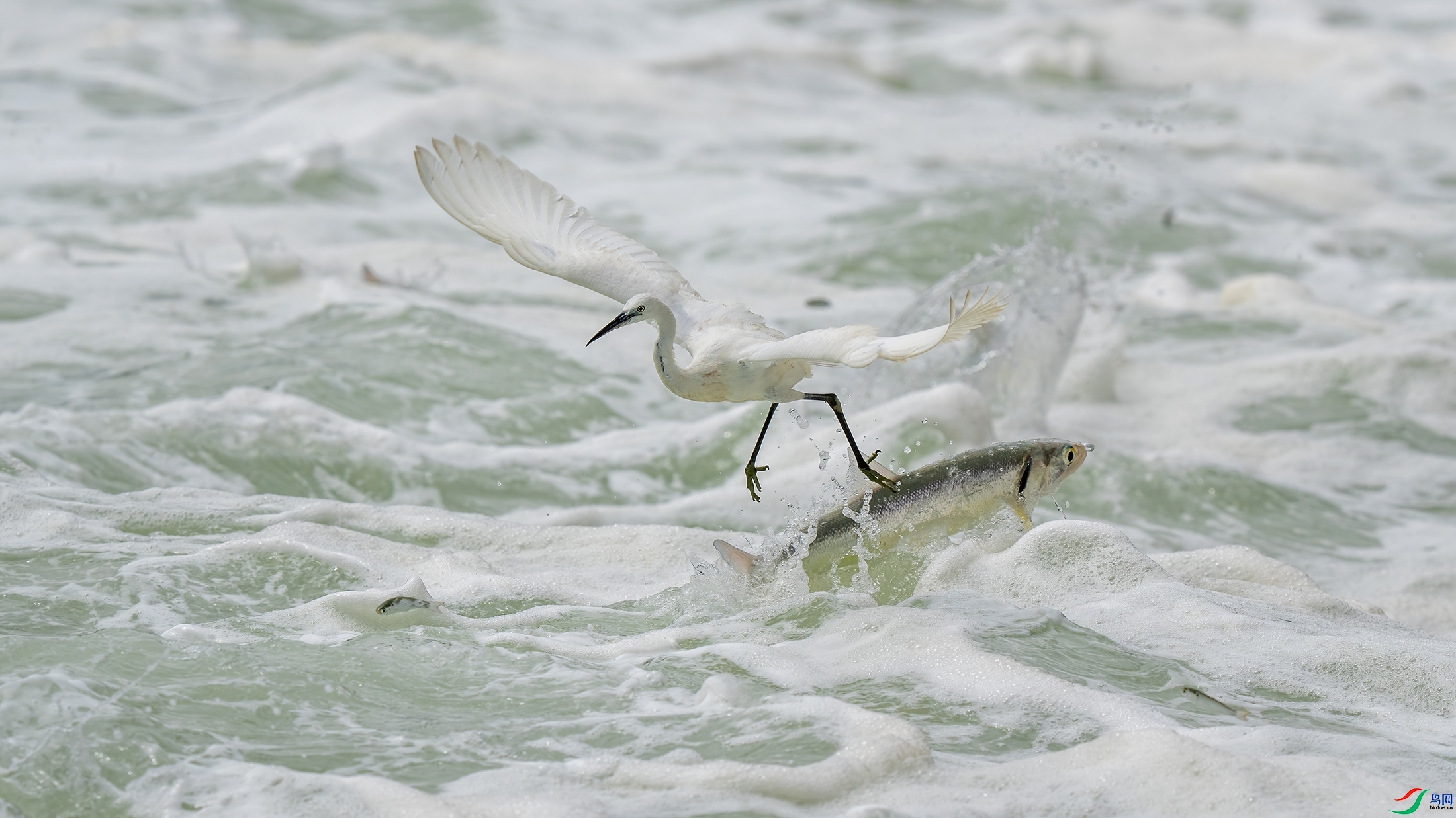 ��ʳ ���� �ϫ ����.jpg