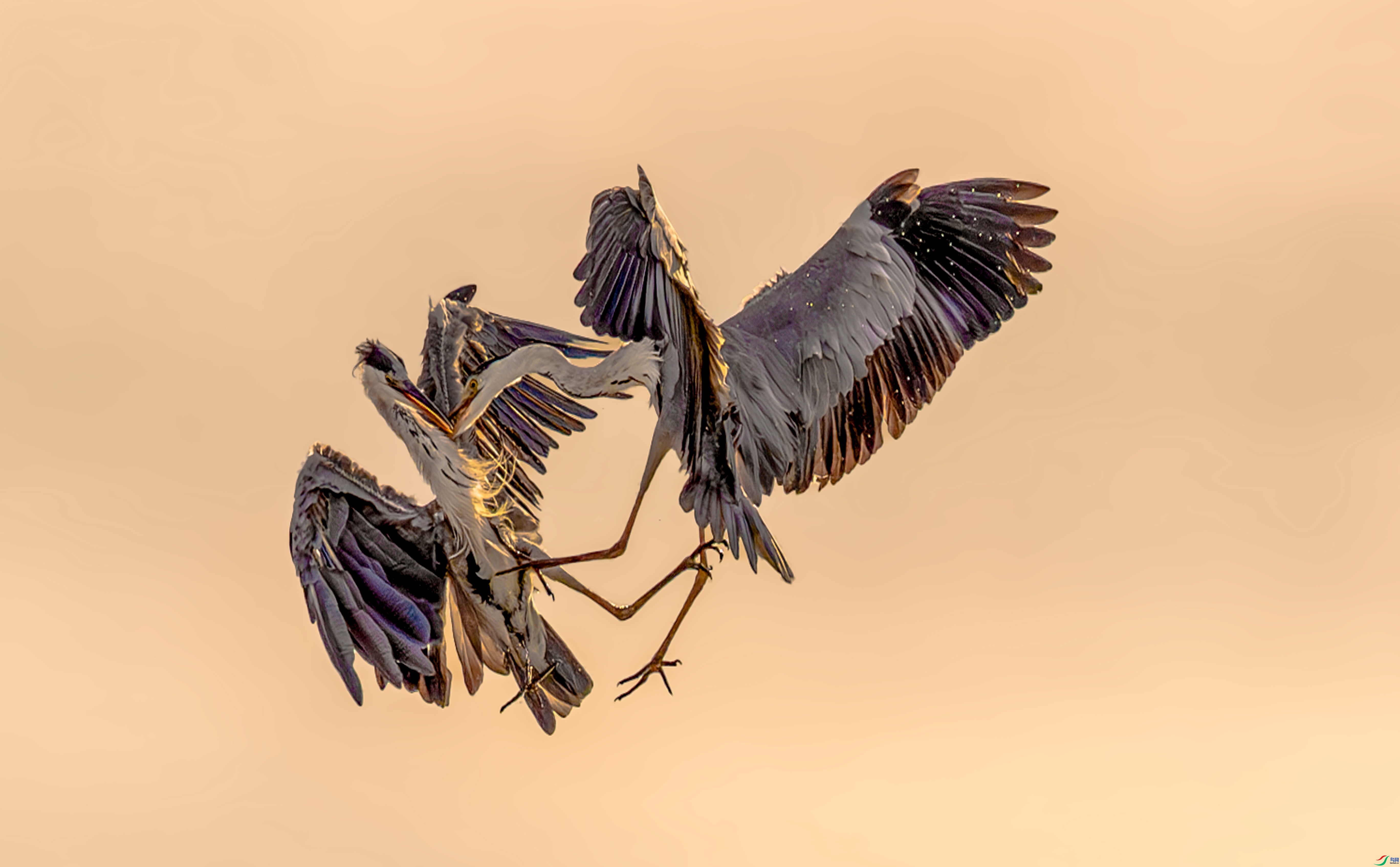 ���ضԶ�  ���� ����  ����.jpg