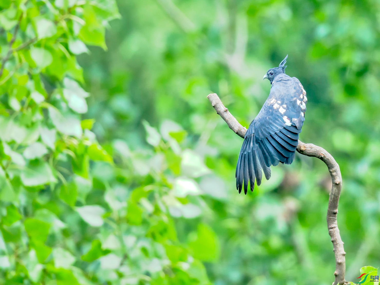 _E8J0526.jpg