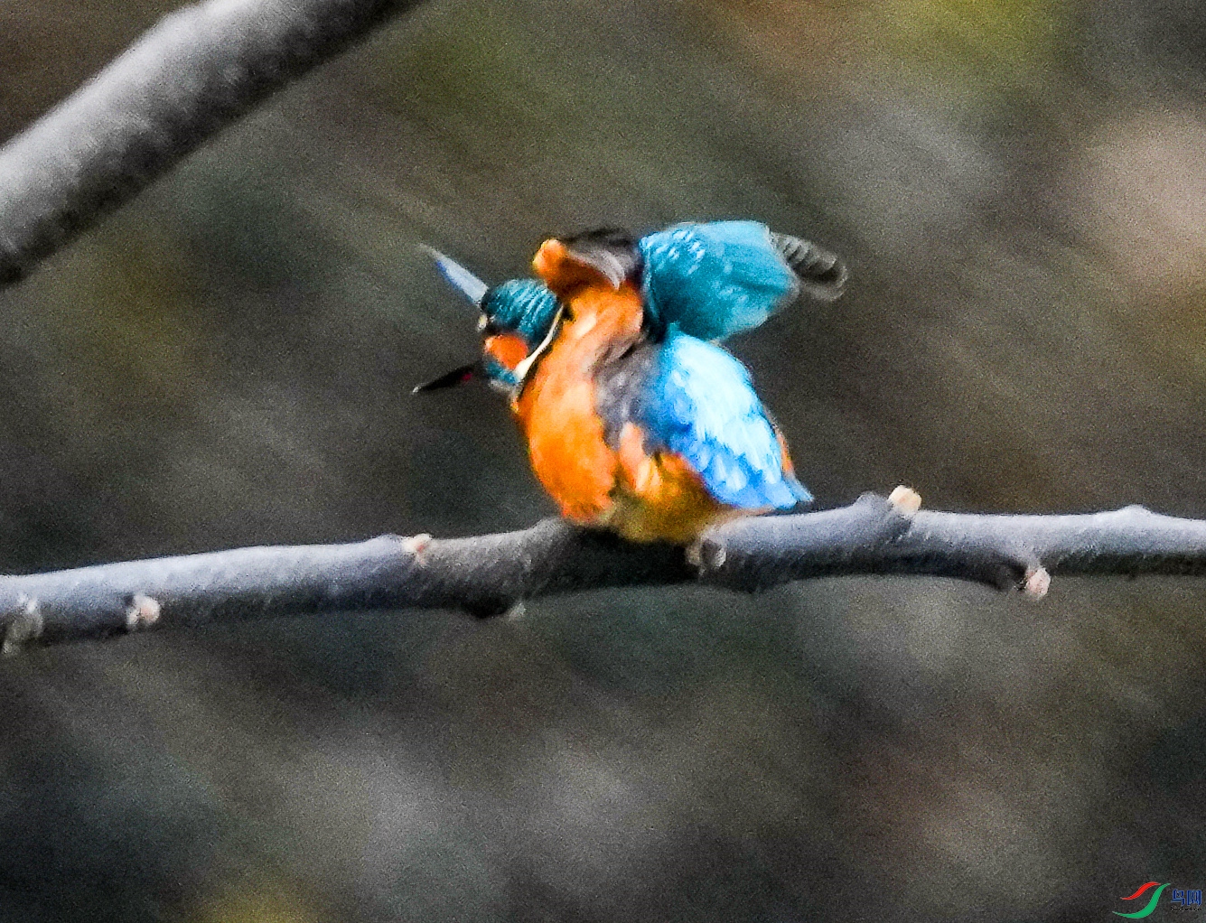 052DSC04815_1_����.jpg