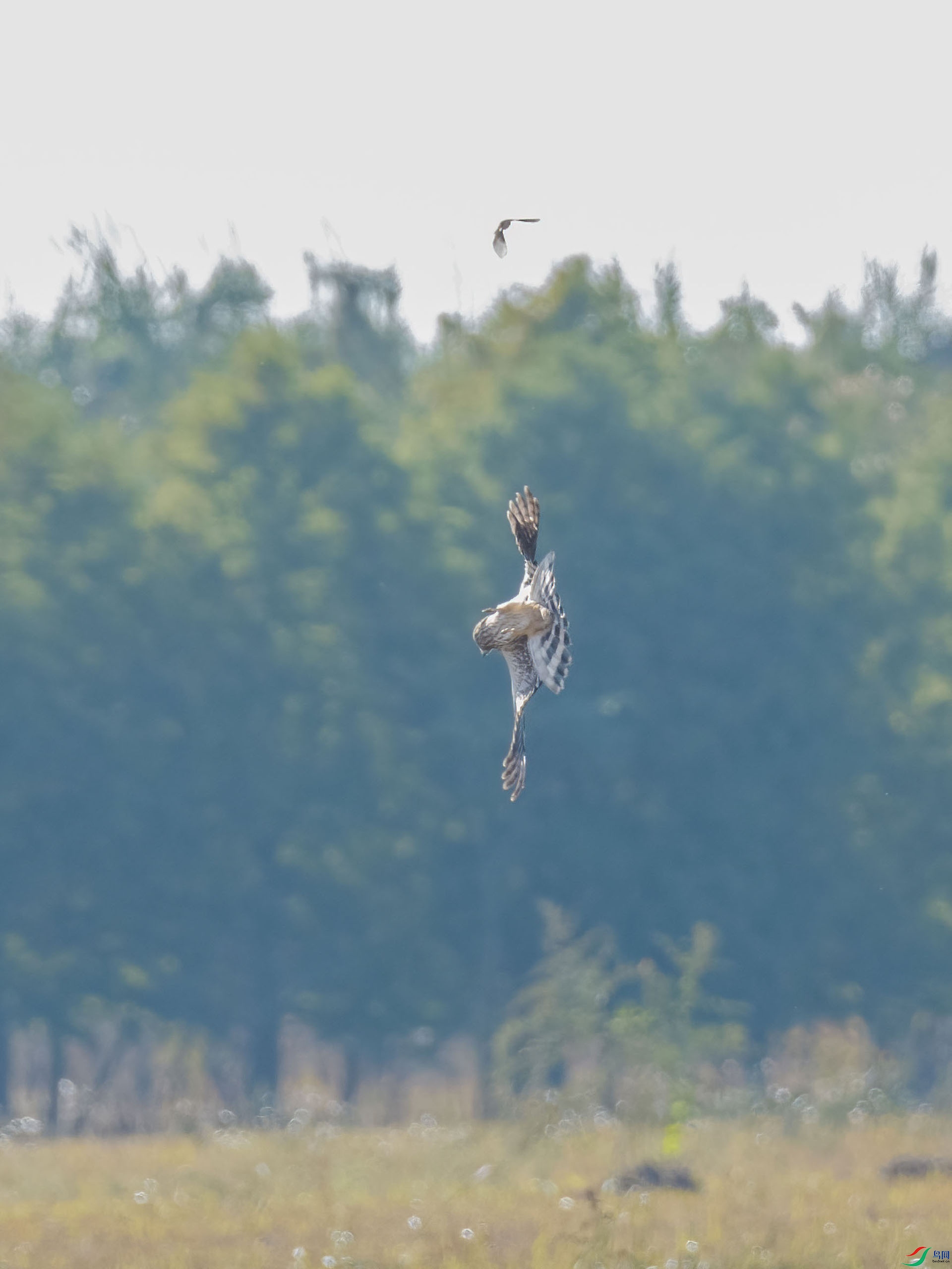 00 PB028232-DeNoiseAI-low-light.jpg