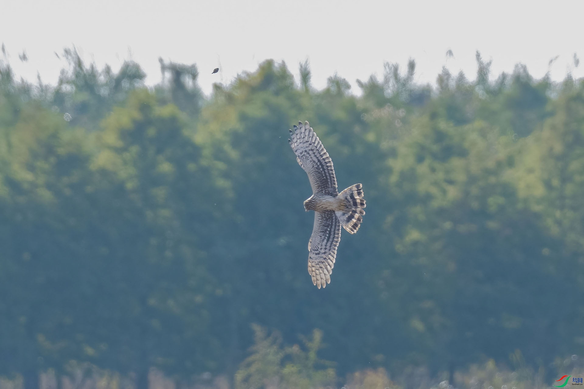 01 PB028228-DeNoiseAI-low-light.jpg