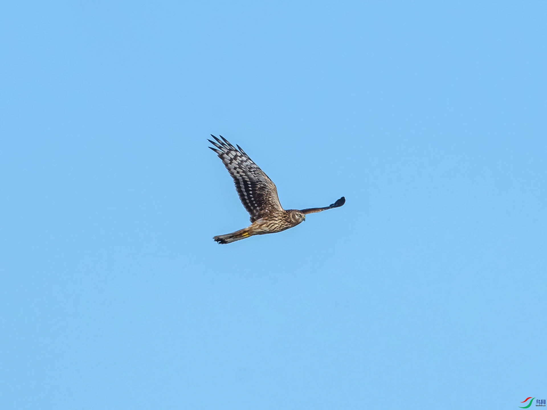 05 PB026927-DeNoiseAI-low-light.jpg