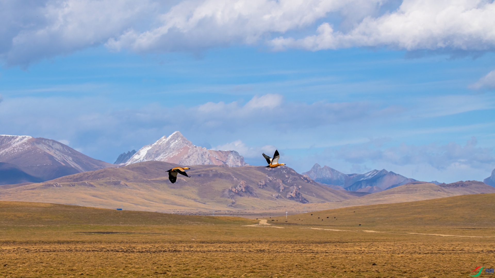DSC_4932-1_02.JPG
