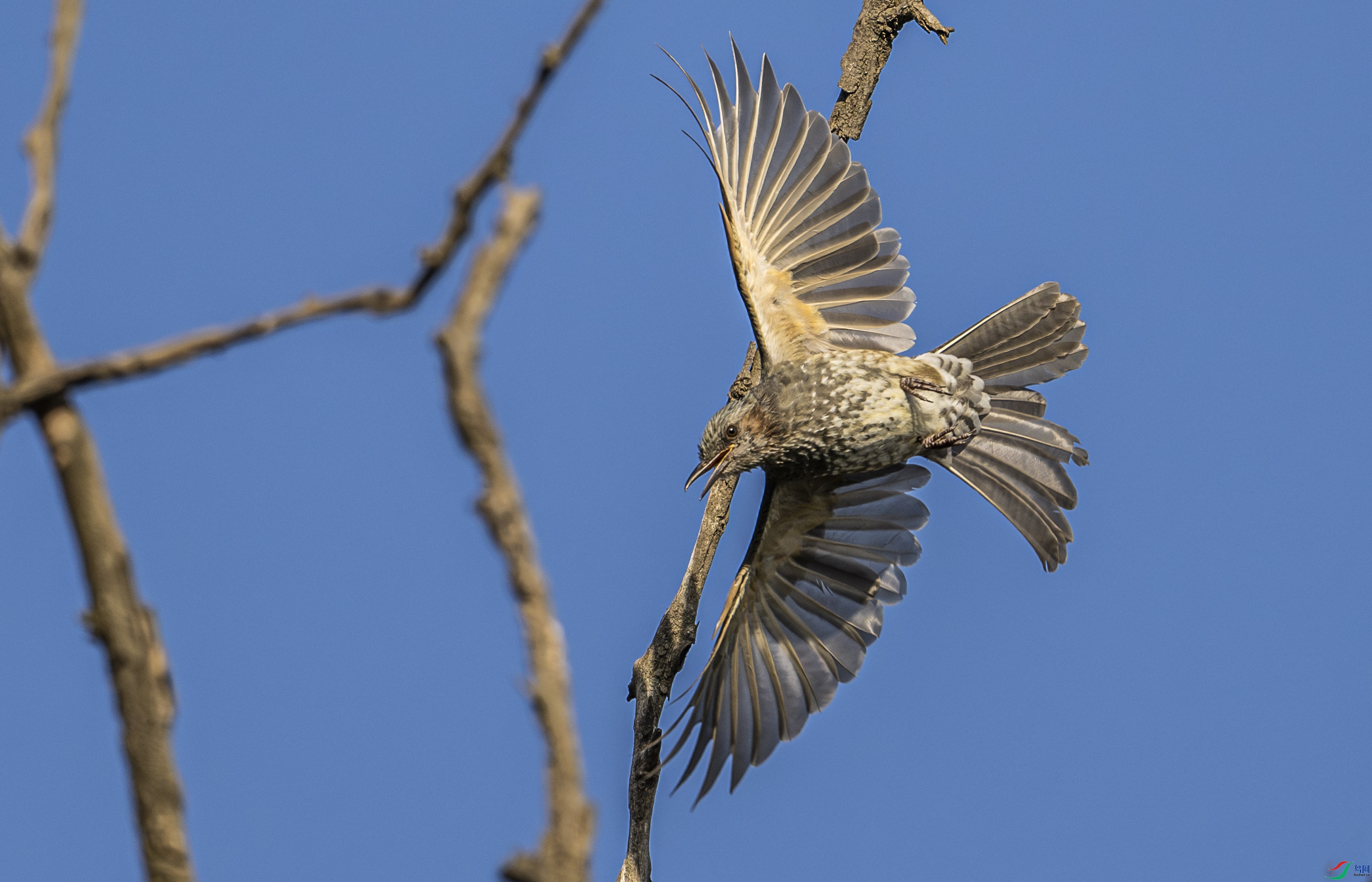 �����̽���