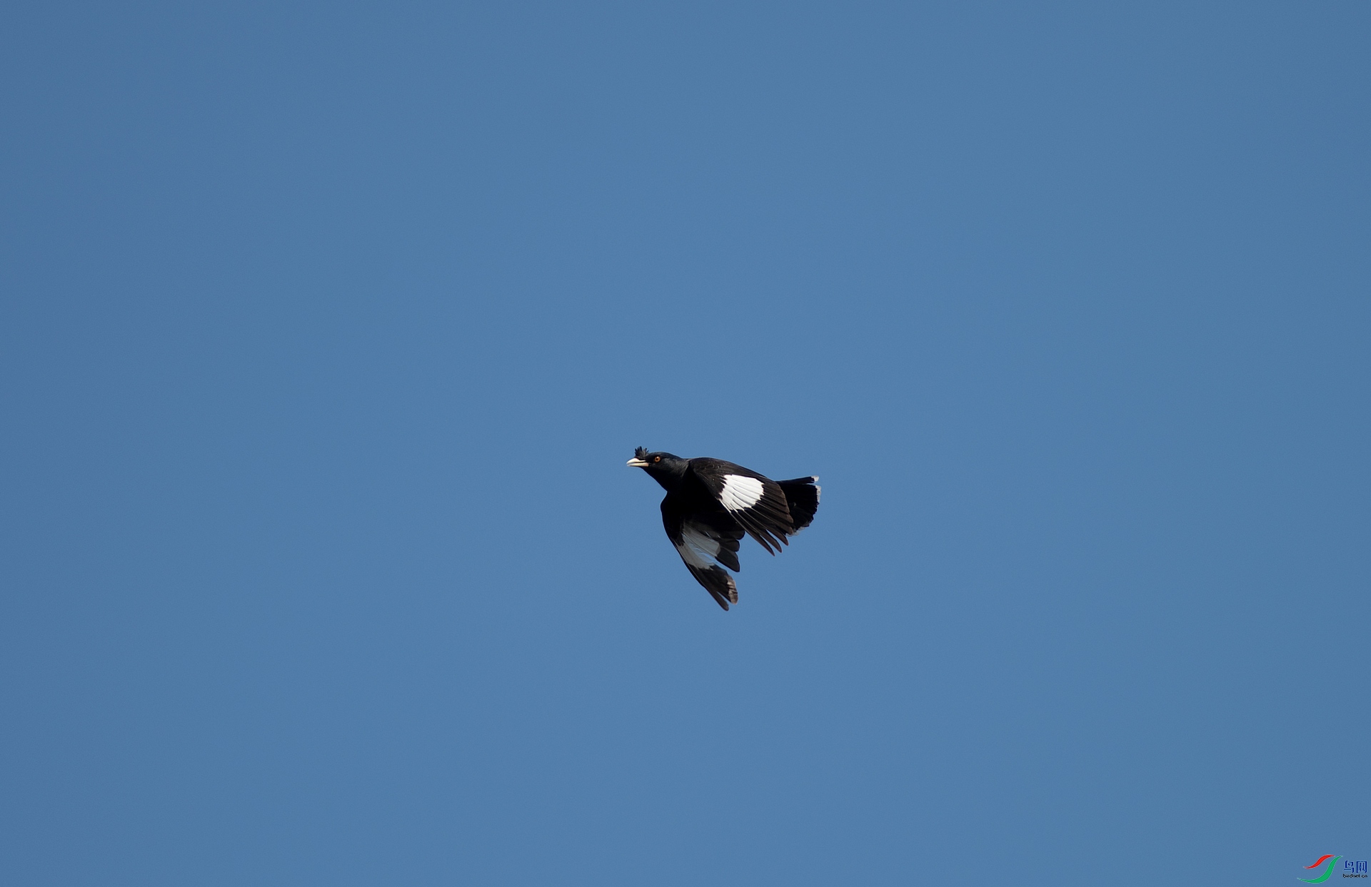 DSC_0115-20.jpg