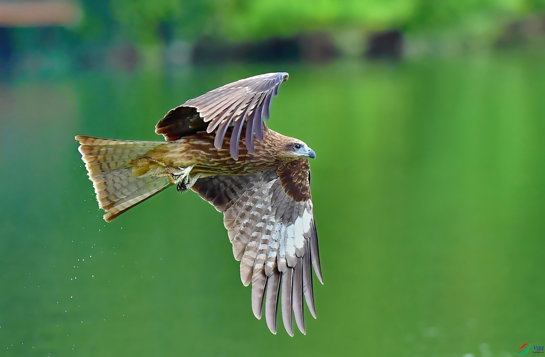 DSC_4278_��ͼ��-DeNoiseAI-denoise_01.JPG