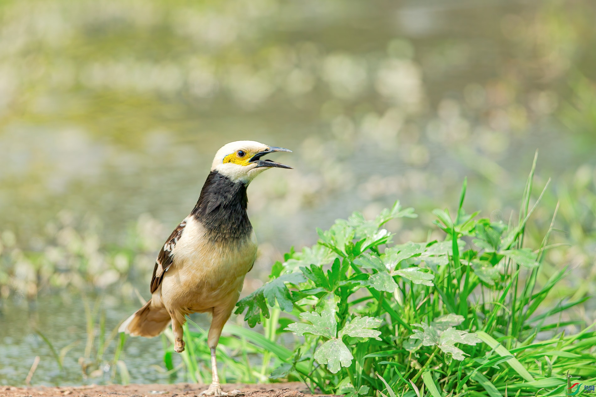 a_48031-1.jpg