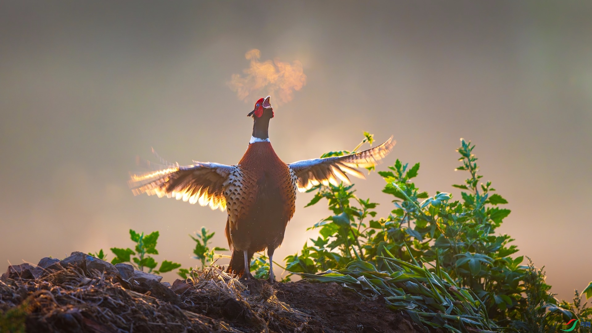 1_XXI6288-����ǿ-NR ���� 3.jpeg