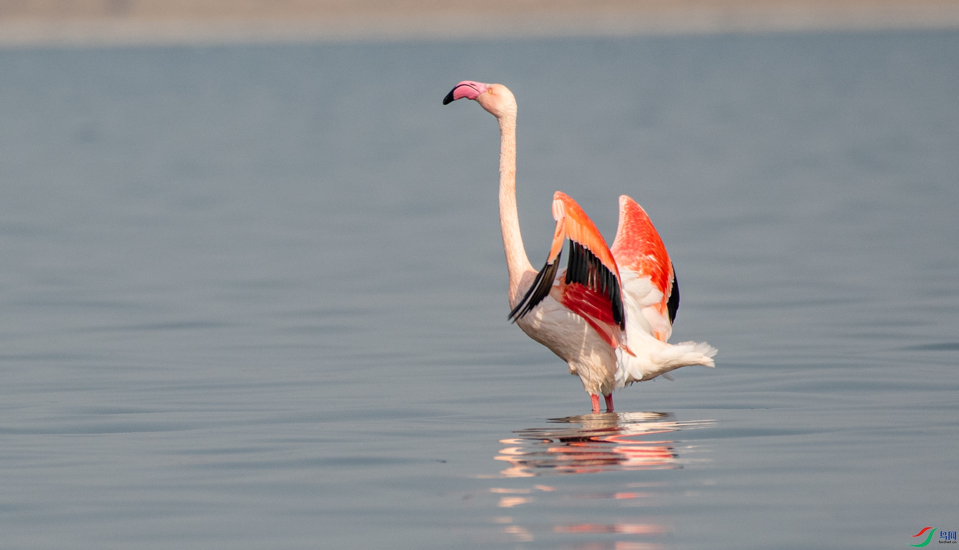 DSC_7961.jpg