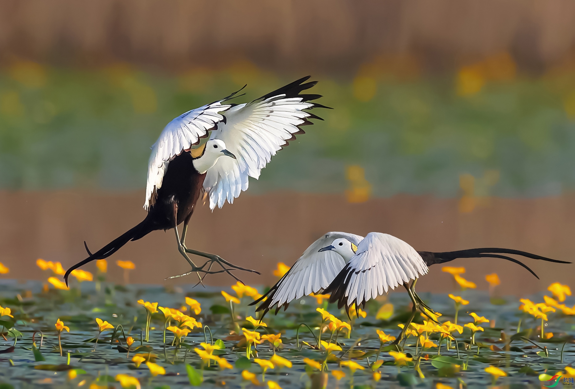 A56I9097 ����.jpg