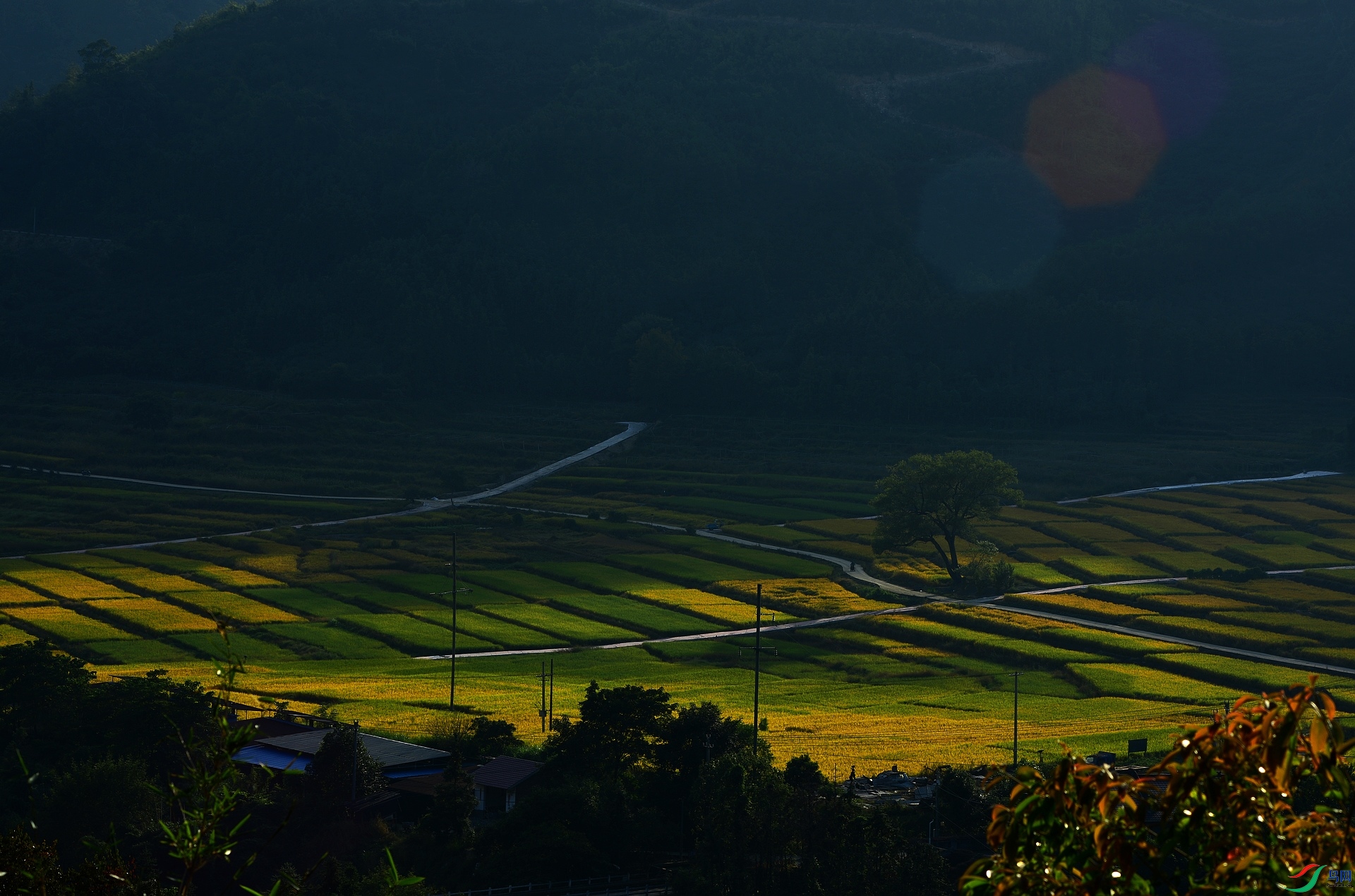 D8I_9026.jpg