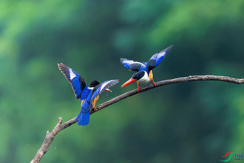 hbhaR230624 (126)_DxO.jpg