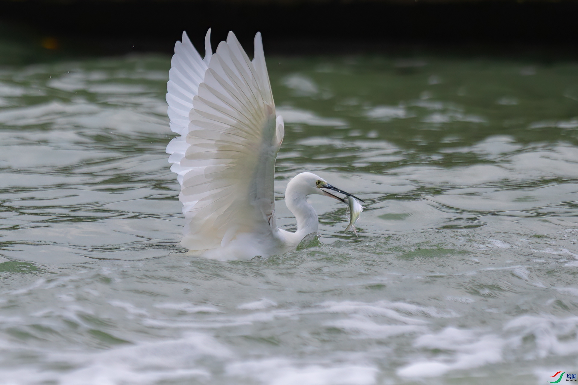 DSC_0897.jpg