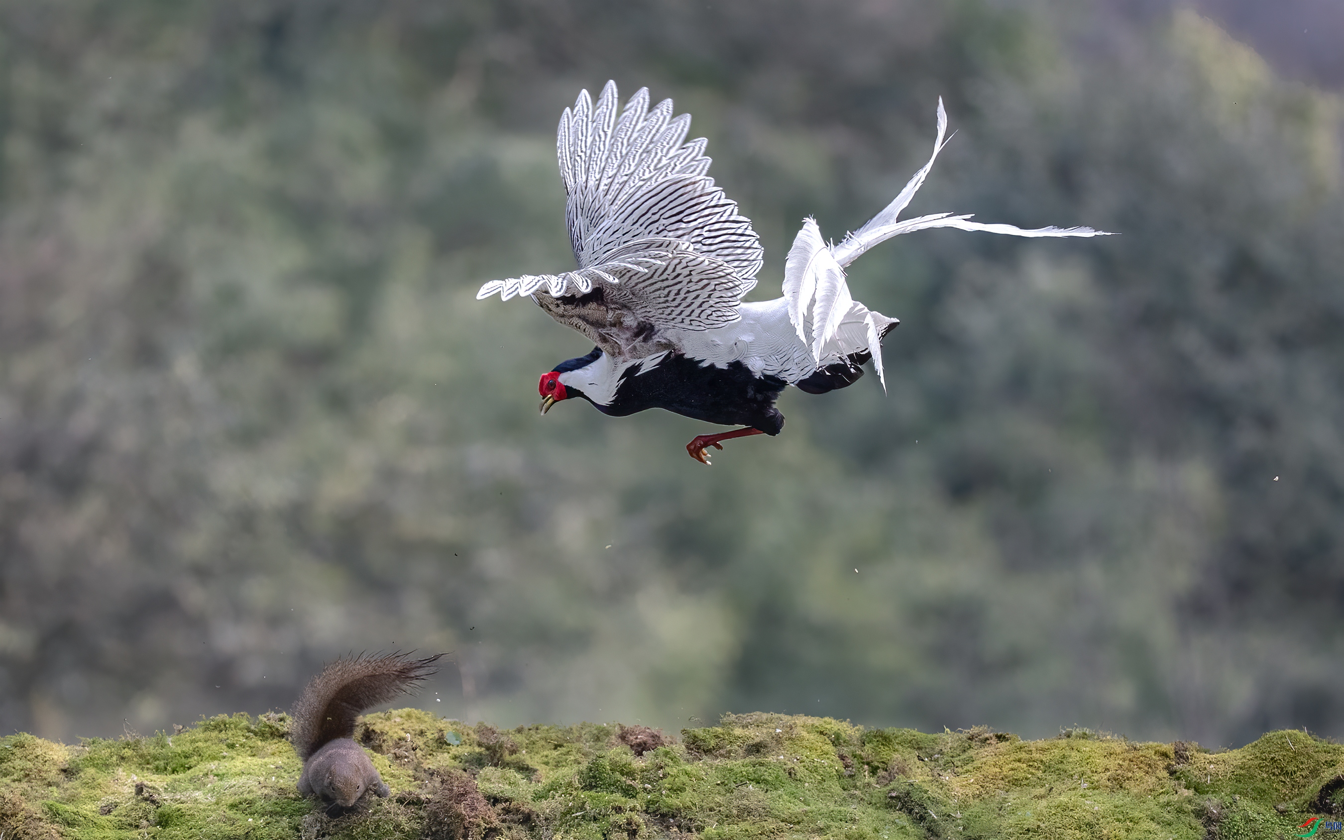 AY8I7698 ����.jpg