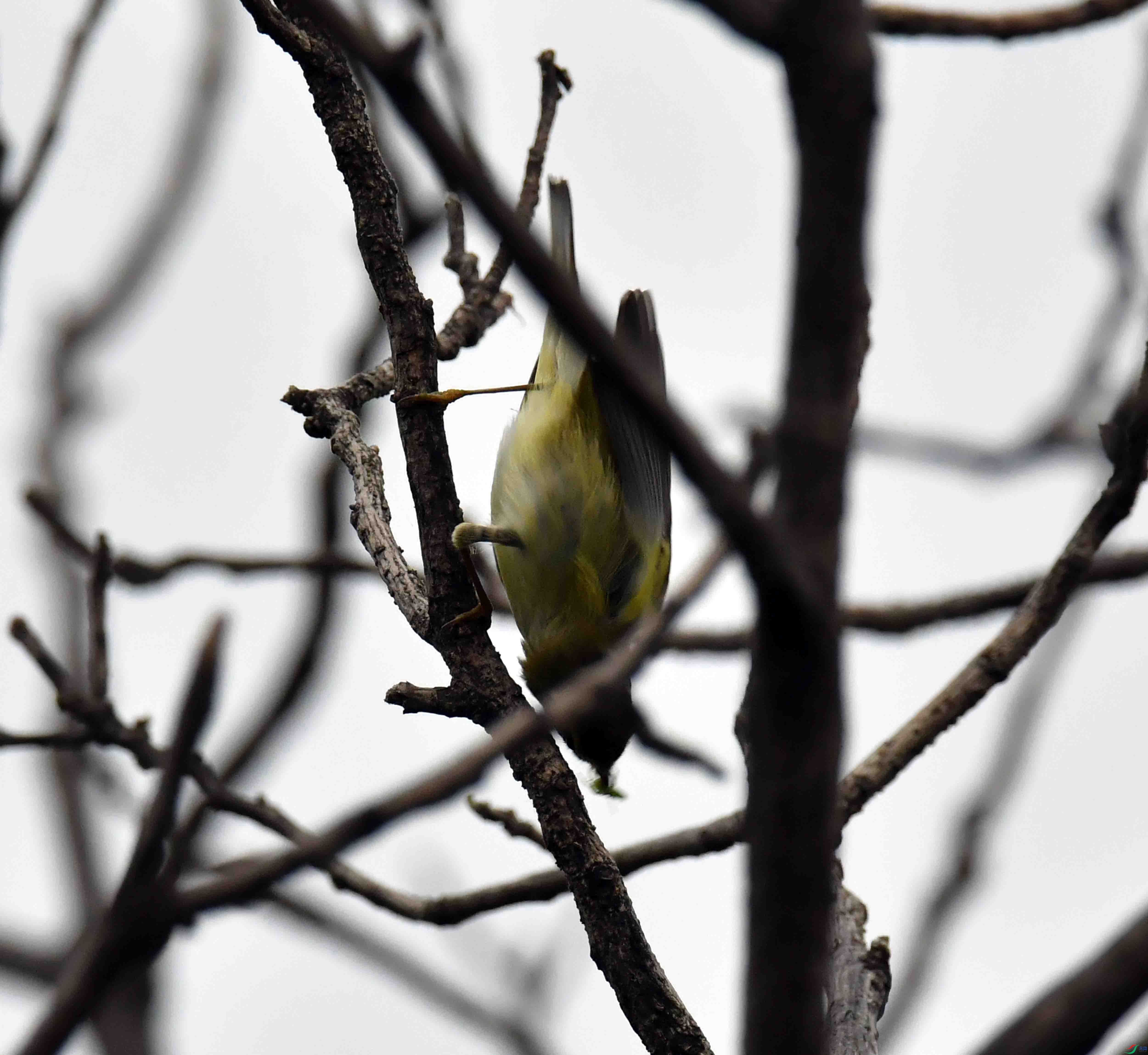 DSC_5502.JPG