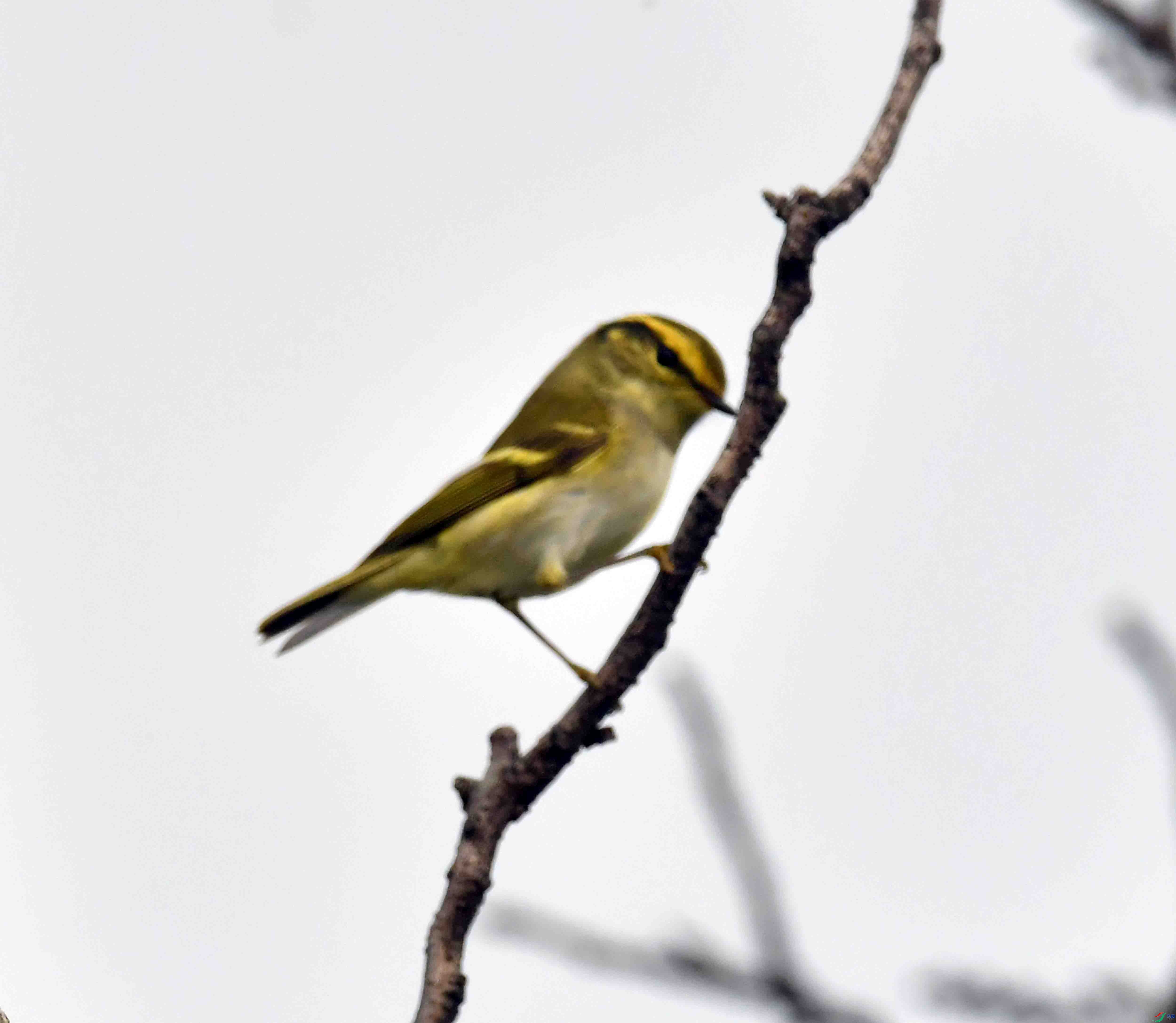 DSC_9551.JPG