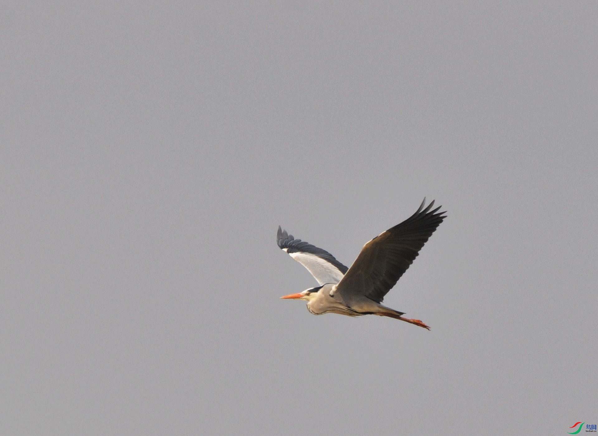 DSC_0704.jpg