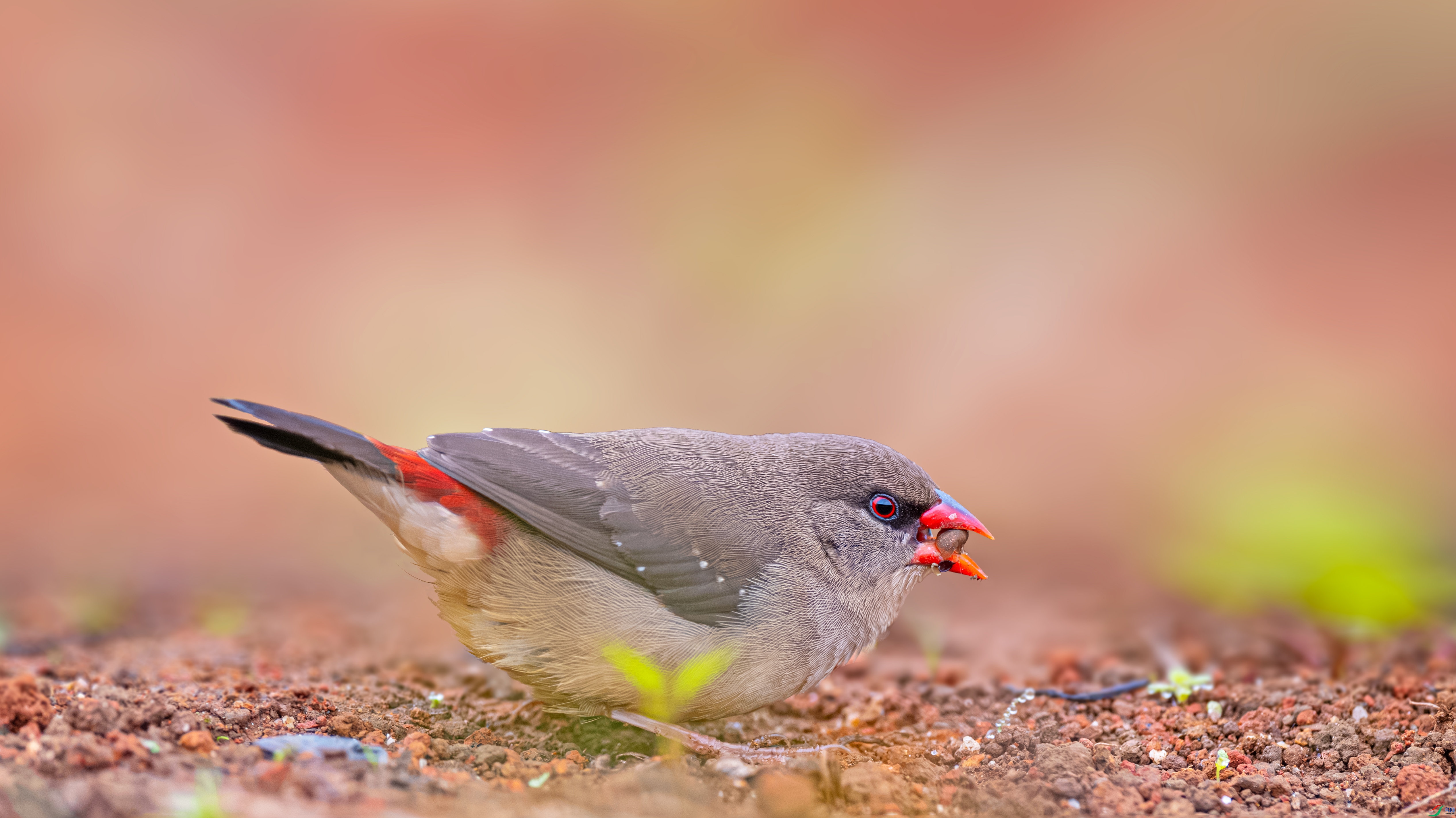 ϲ���Ի�Ĵ��Ի�ȸ