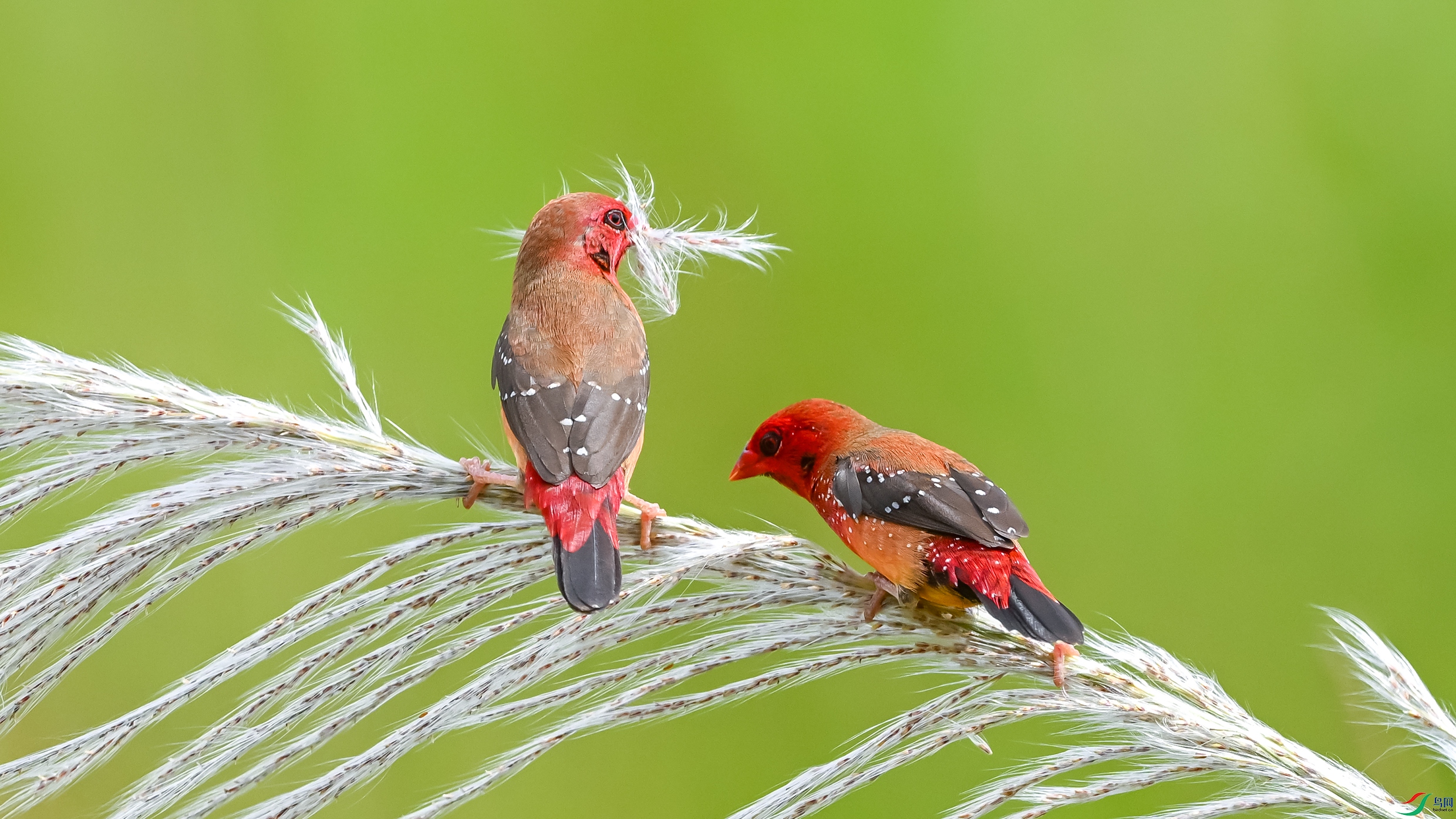 4646 ����.jpg